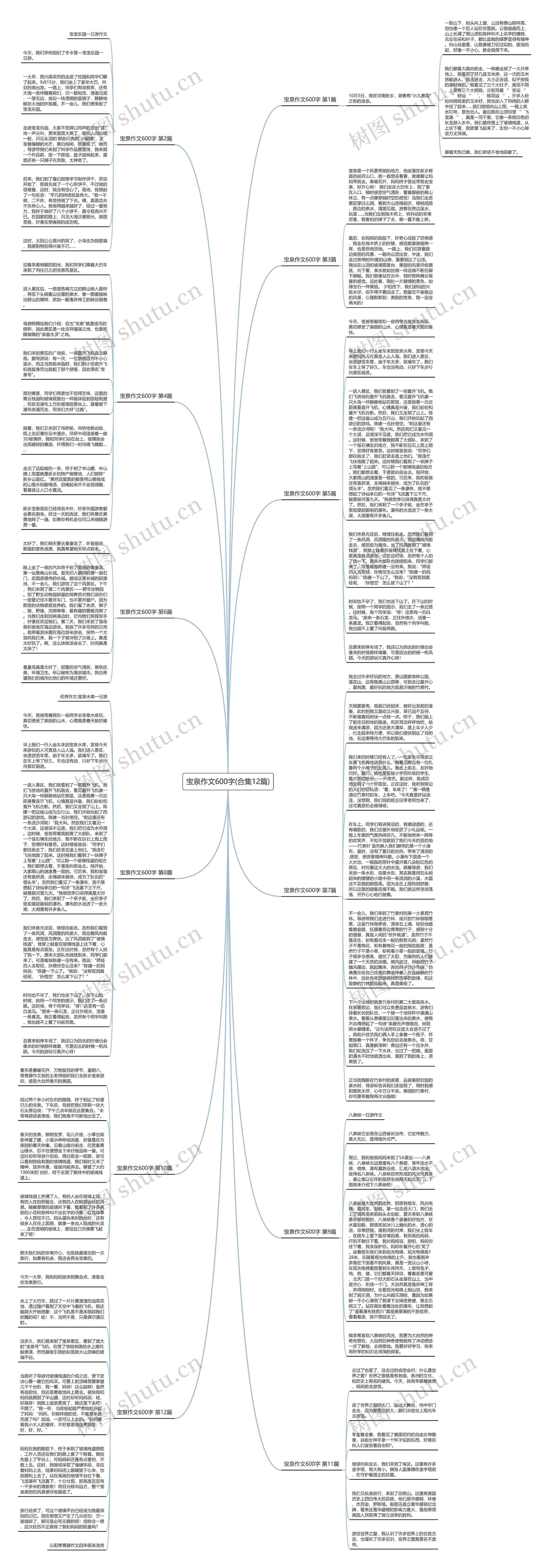 宝泉作文600字(合集12篇)思维导图
