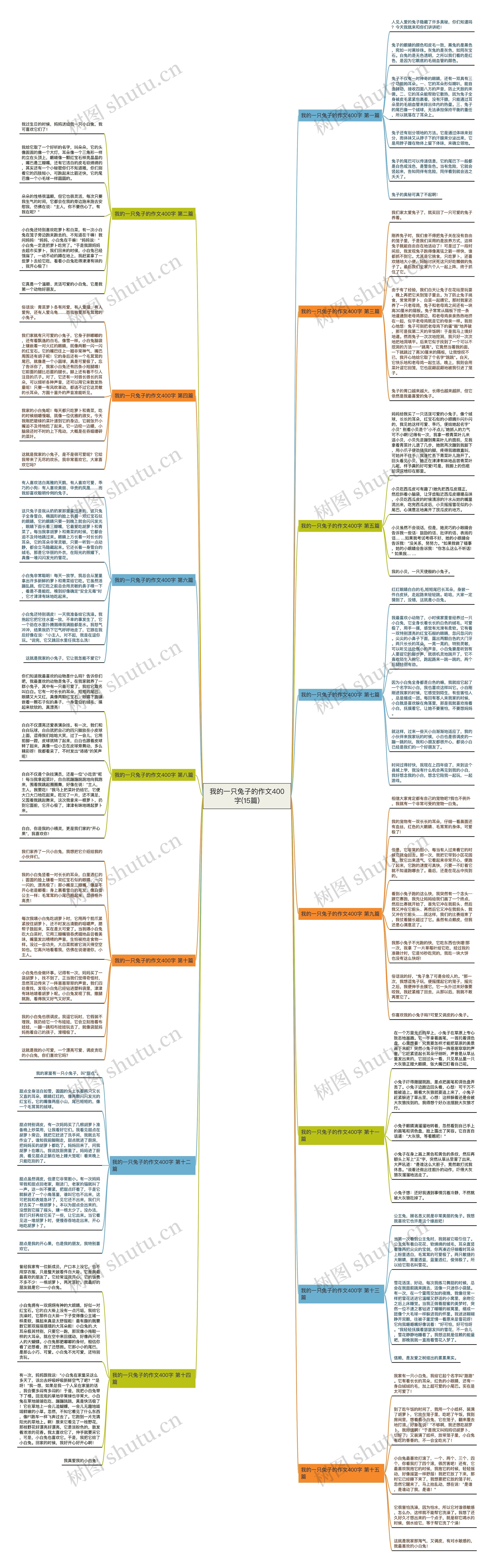 我的一只兔子的作文400字(15篇)思维导图