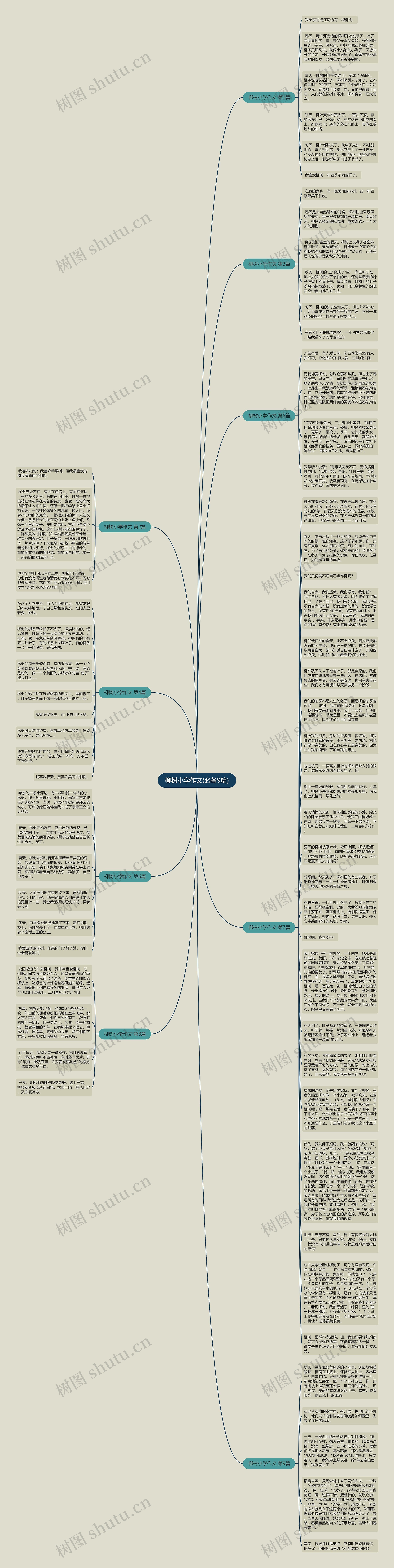 柳树小学作文(必备9篇)思维导图
