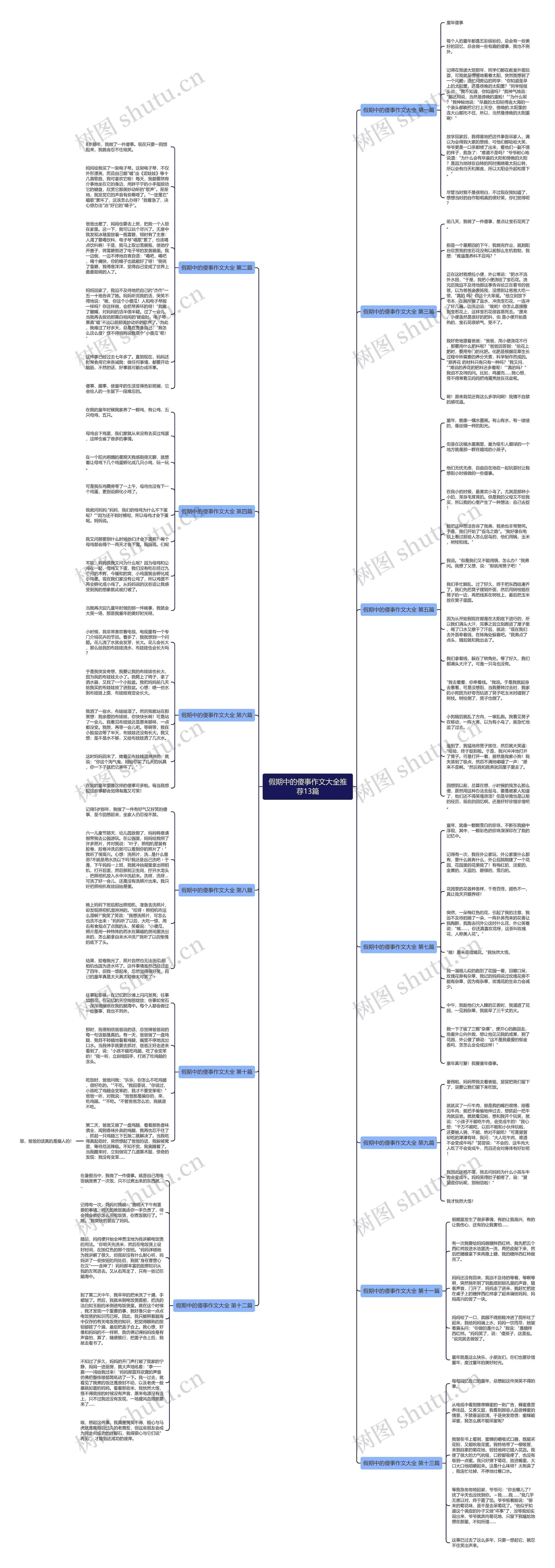 假期中的傻事作文大全推荐13篇思维导图