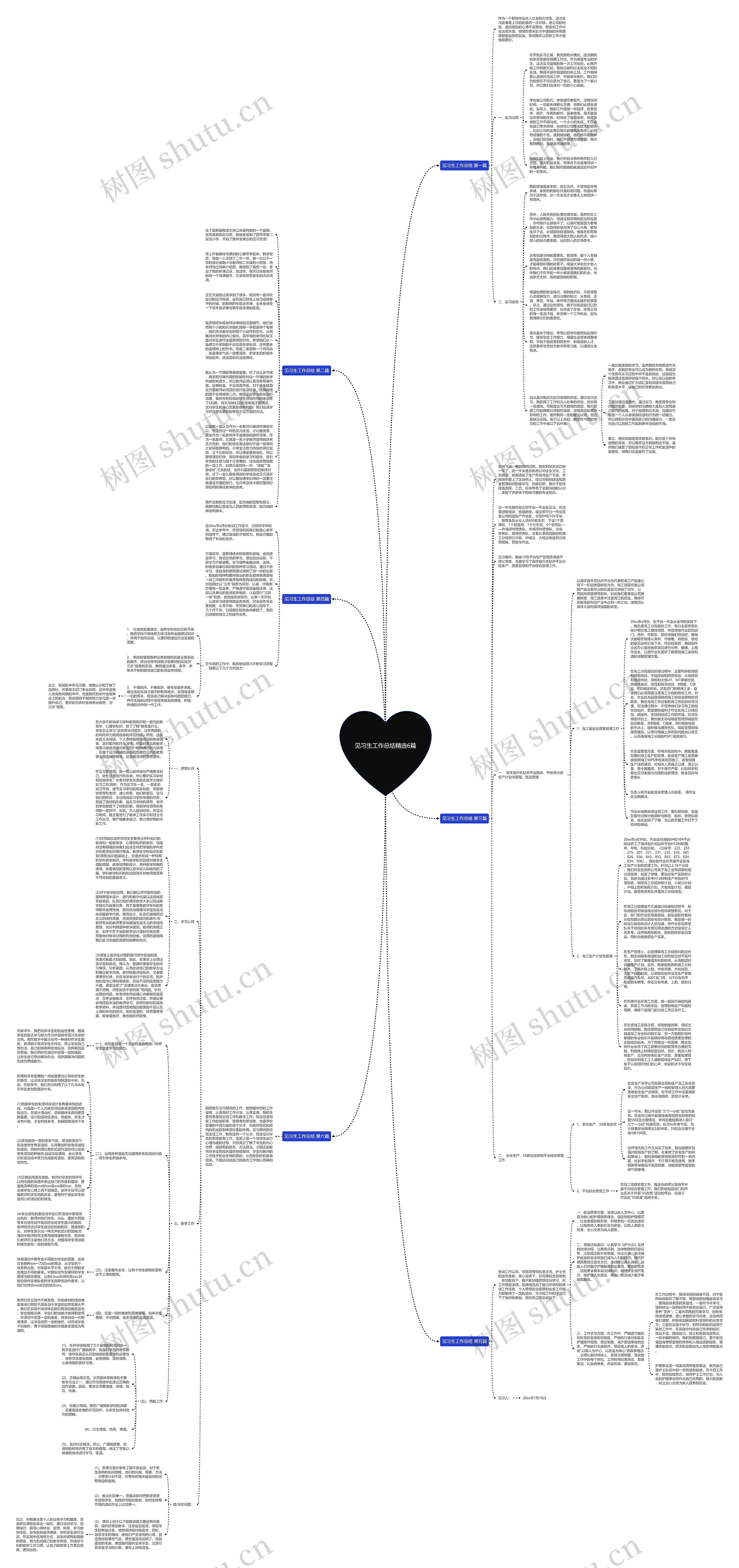 见习生工作总结精选6篇思维导图