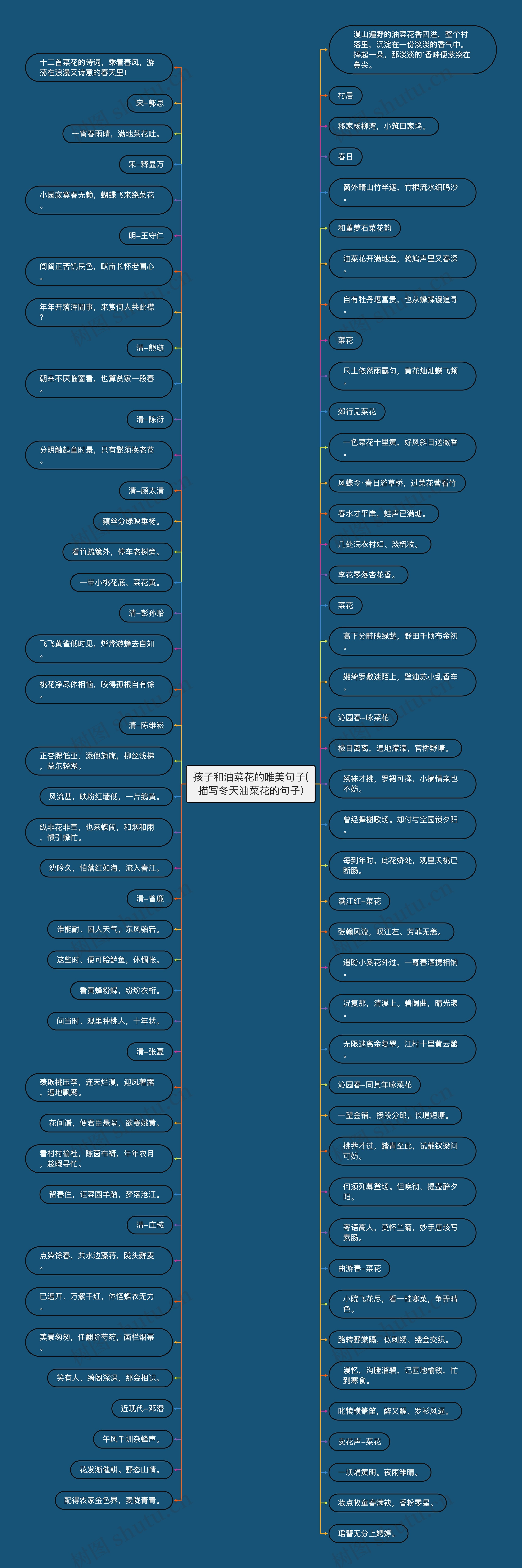 孩子和油菜花的唯美句子(描写冬天油菜花的句子)思维导图