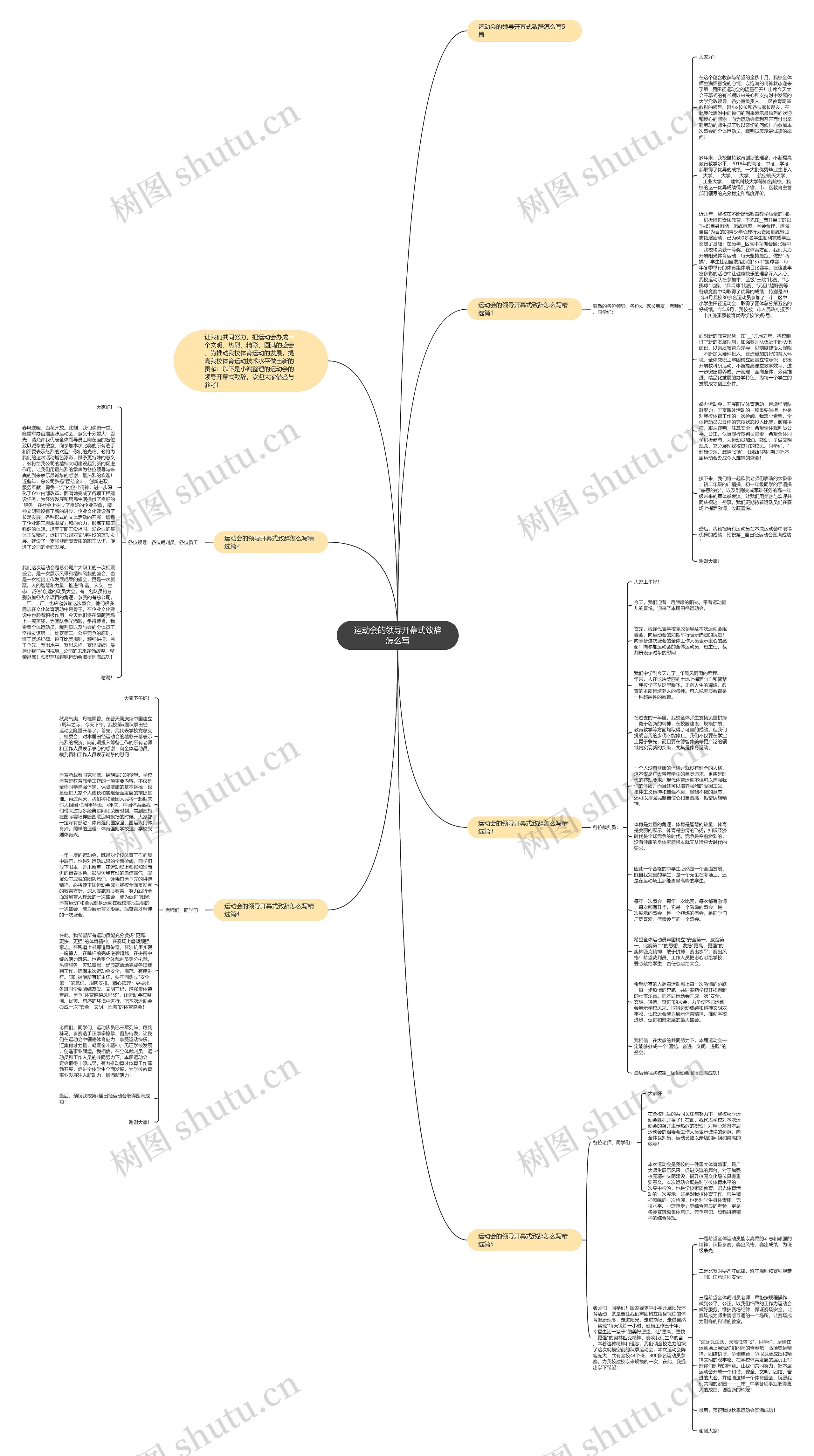 运动会的领导开幕式致辞怎么写思维导图