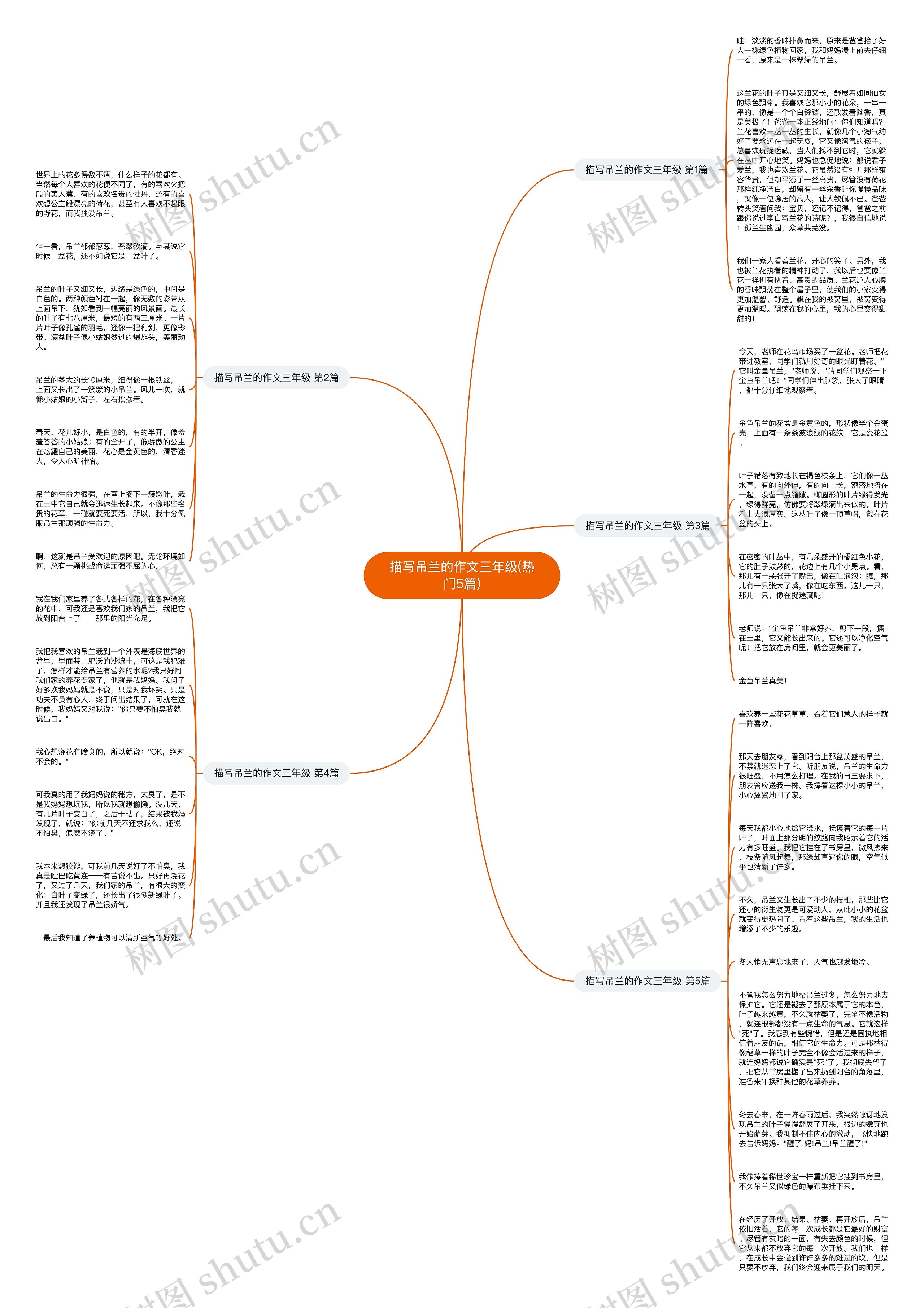 描写吊兰的作文三年级(热门5篇)思维导图