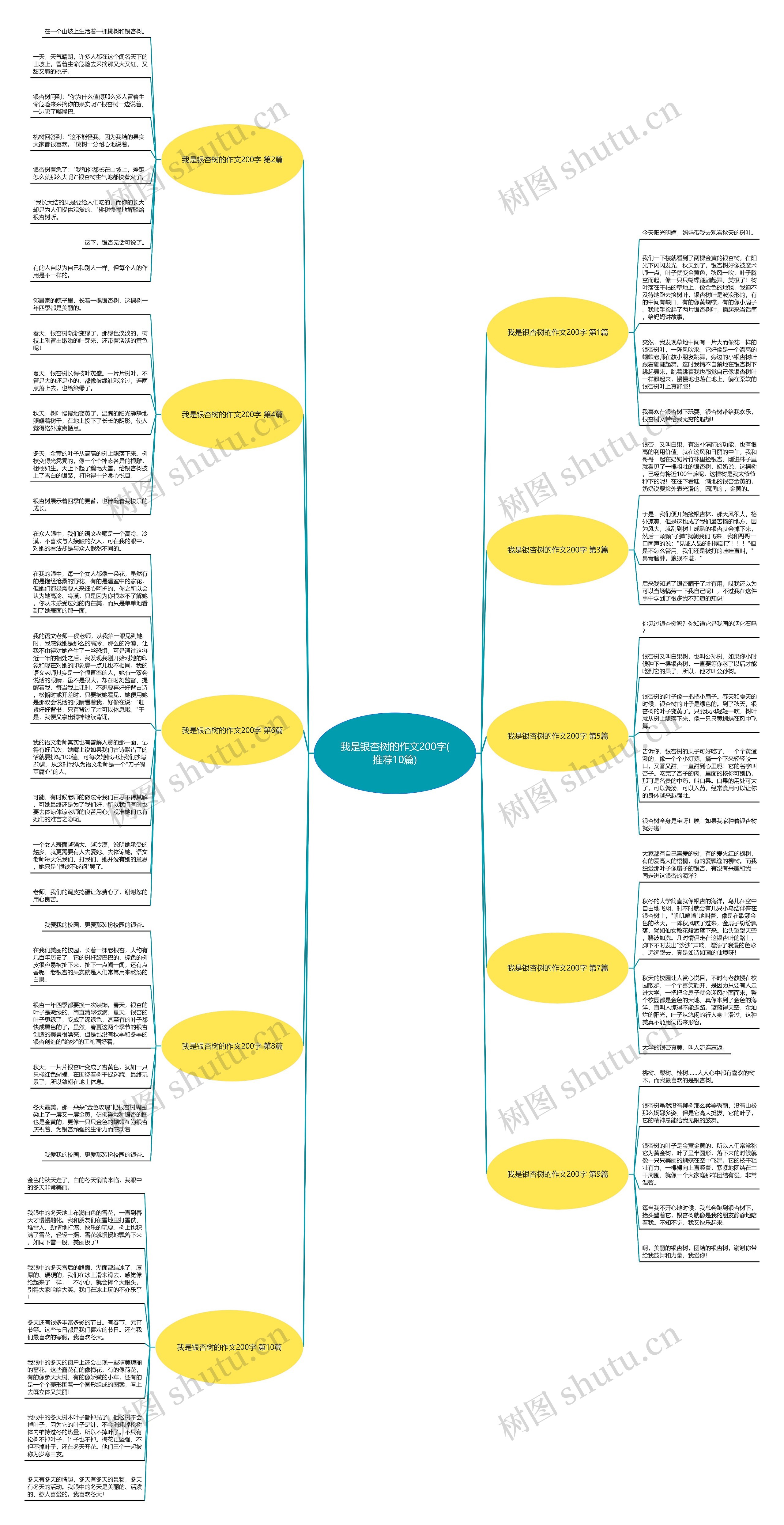 我是银杏树的作文200字(推荐10篇)思维导图
