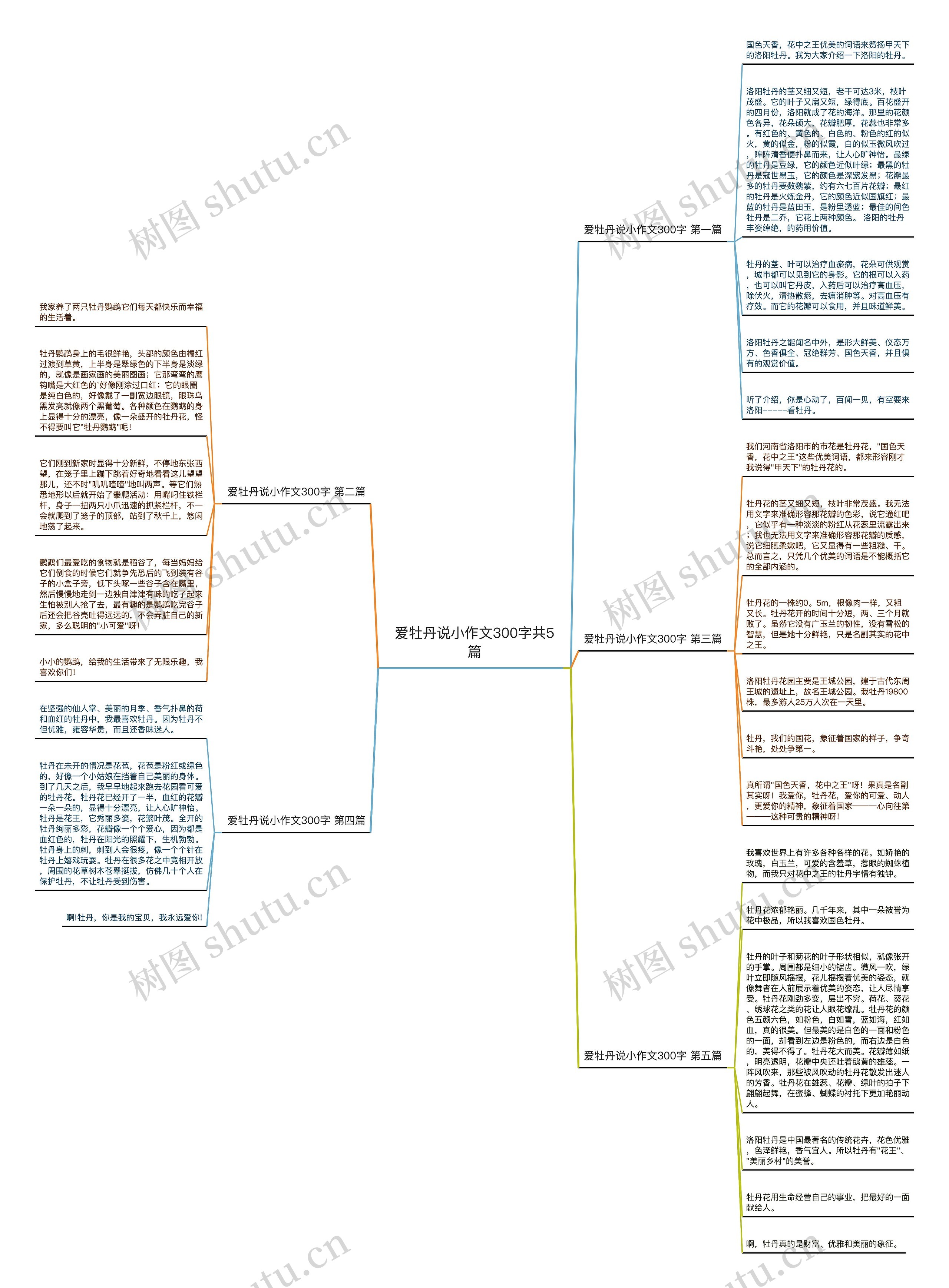 爱牡丹说小作文300字共5篇 爱牡丹说小作文300字共5篇