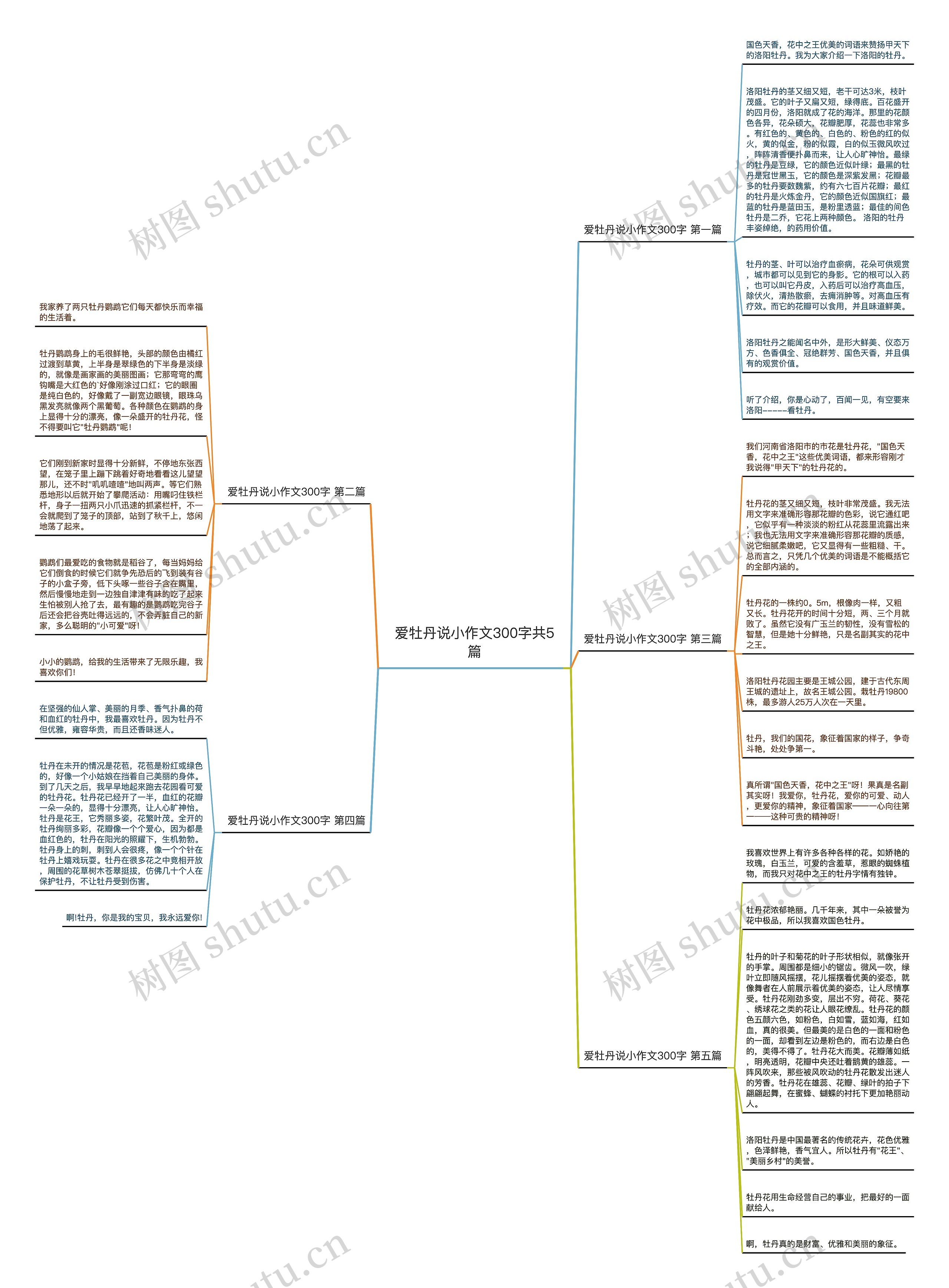爱牡丹说小作文300字共5篇思维导图