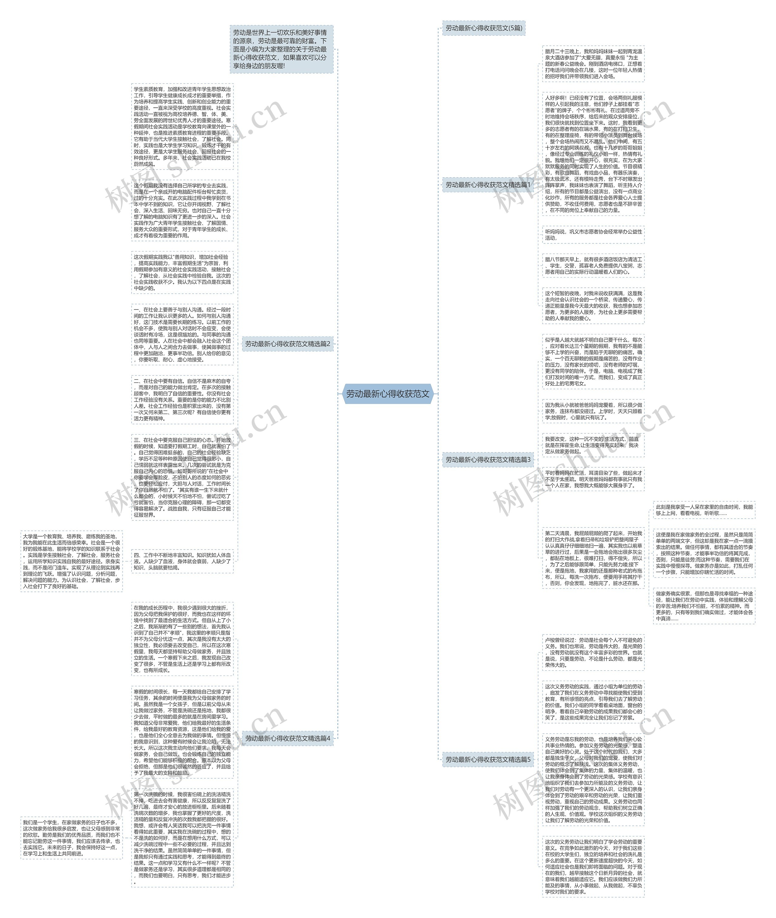 劳动最新心得收获范文思维导图