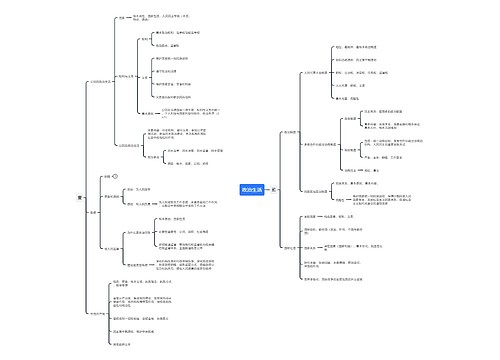 政治生活思维导图