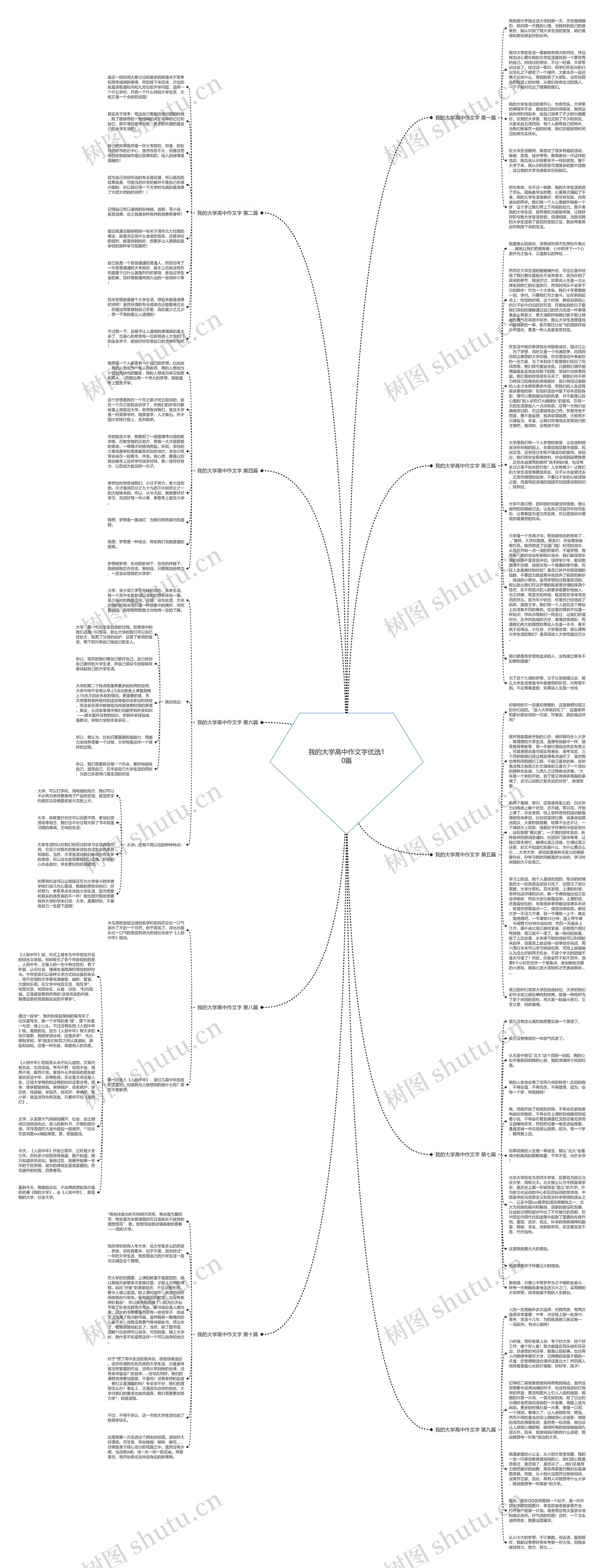 我的大学高中作文字优选10篇思维导图