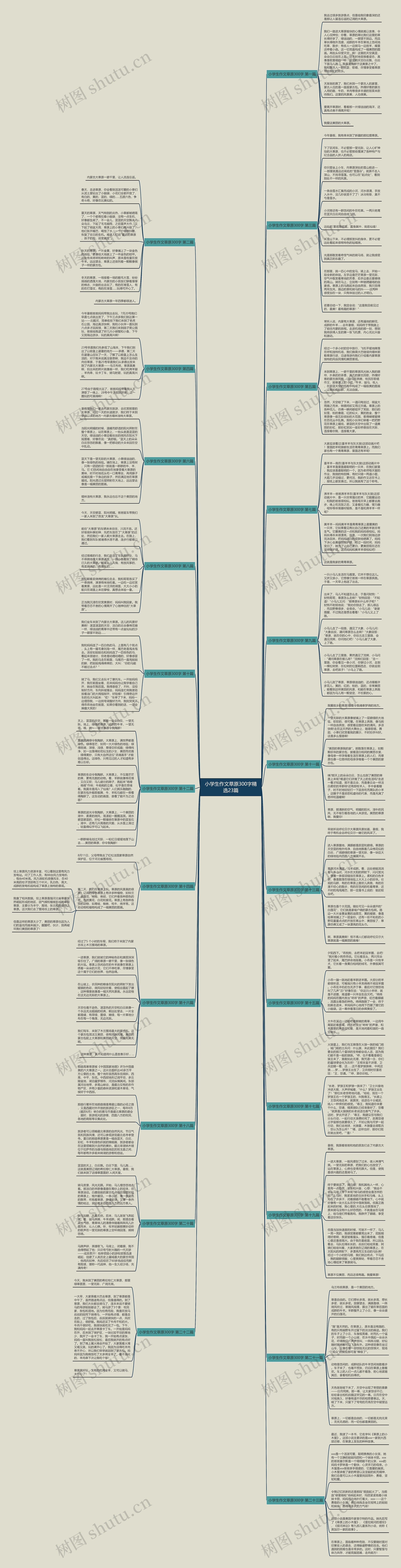 小学生作文草原300字精选23篇思维导图