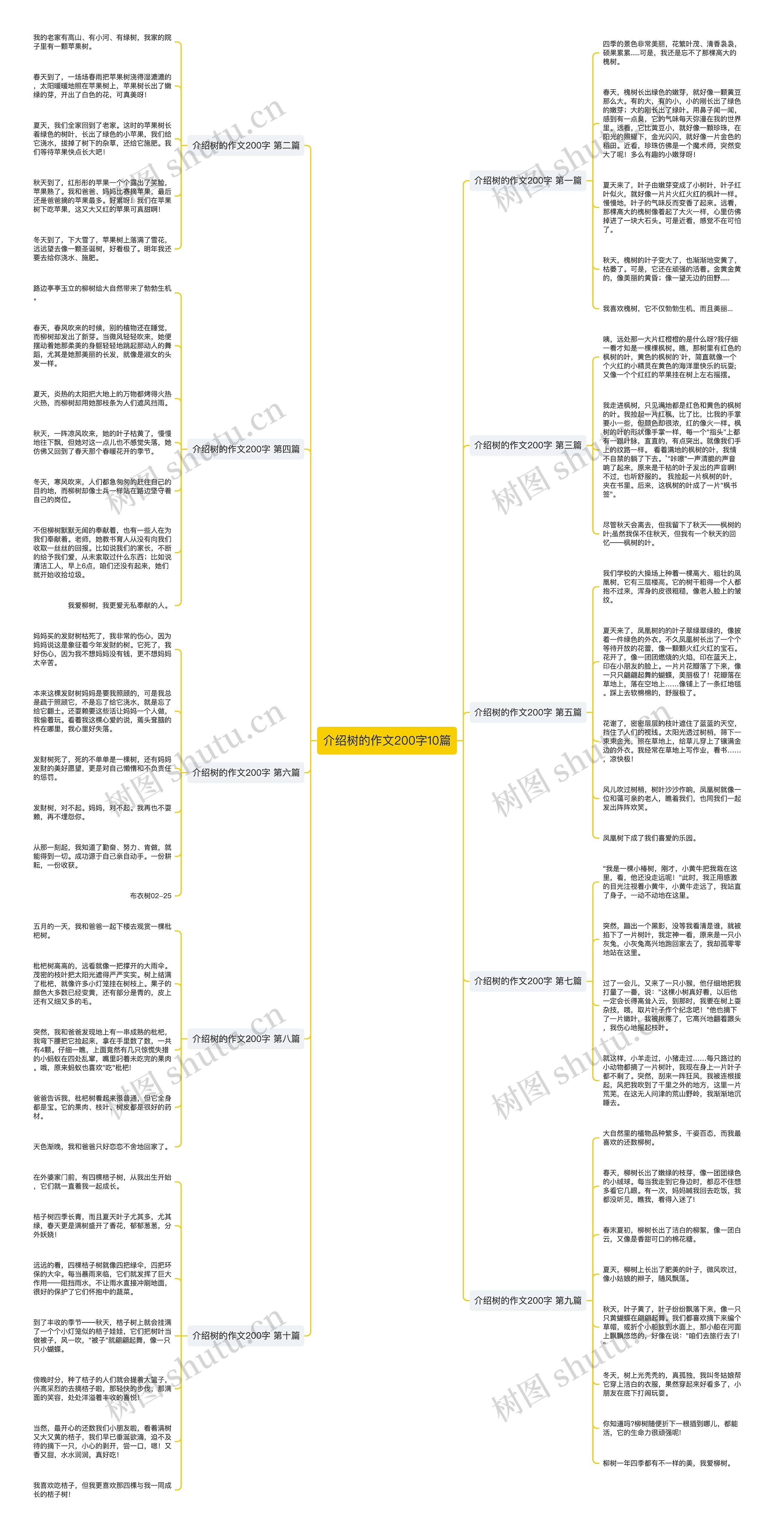 介绍树的作文200字10篇思维导图