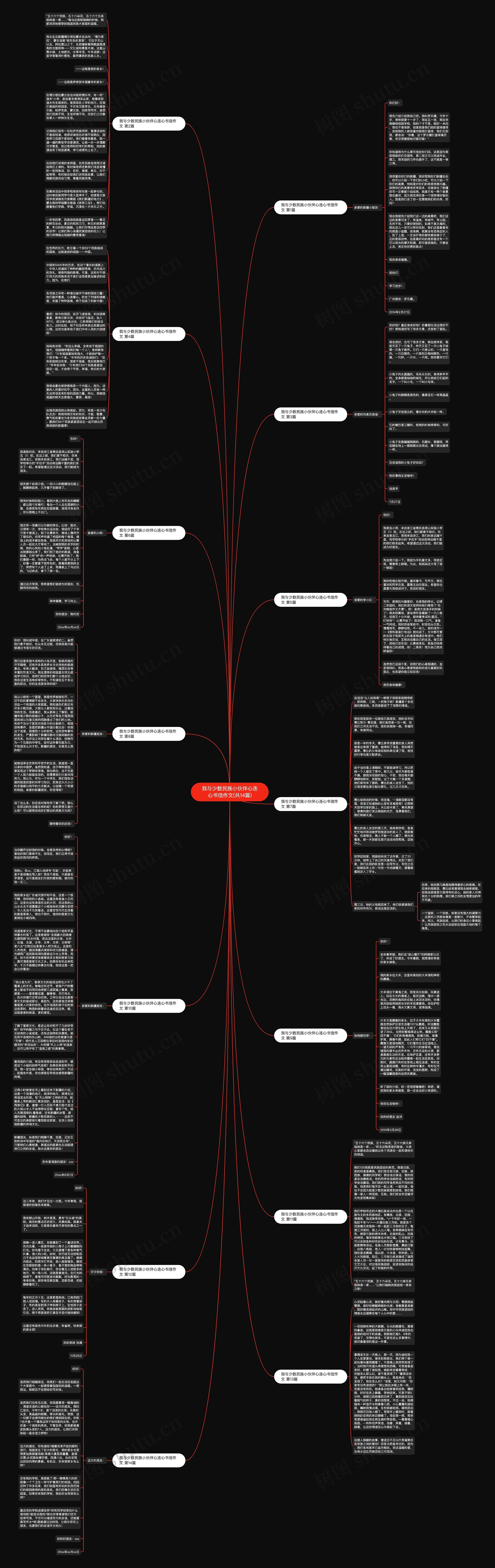 我与少数民族小伙伴心连心书信作文(共14篇)思维导图