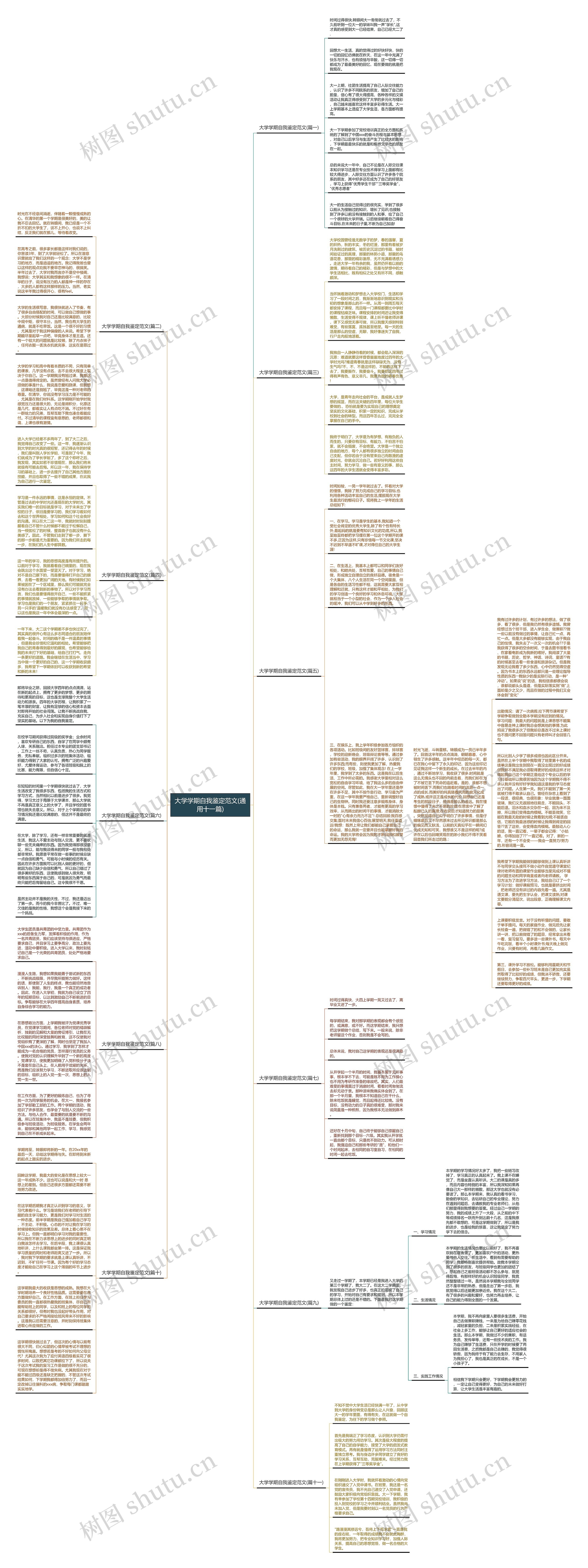 大学学期自我鉴定范文(通用十一篇)思维导图