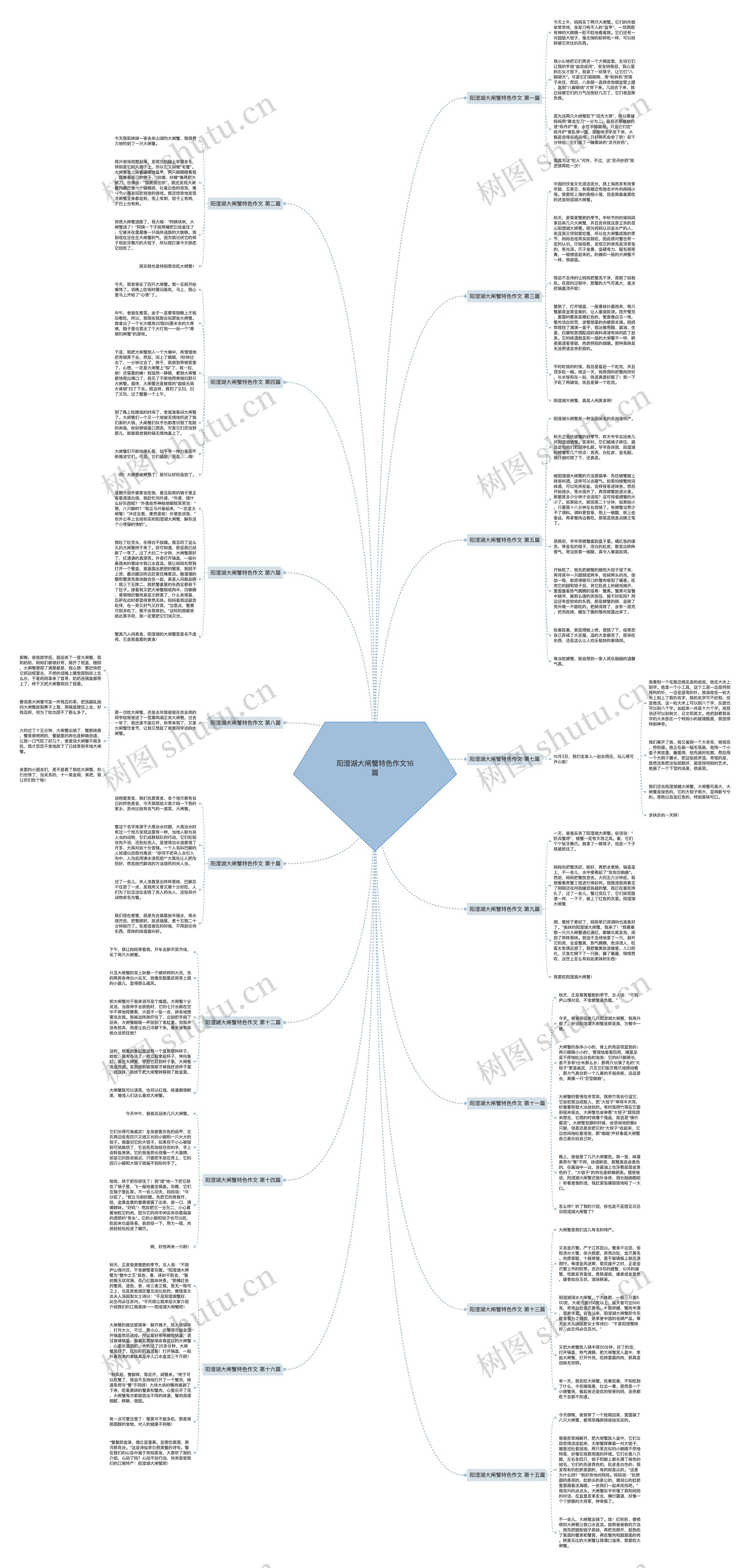 阳澄湖大闸蟹特色作文16篇思维导图
