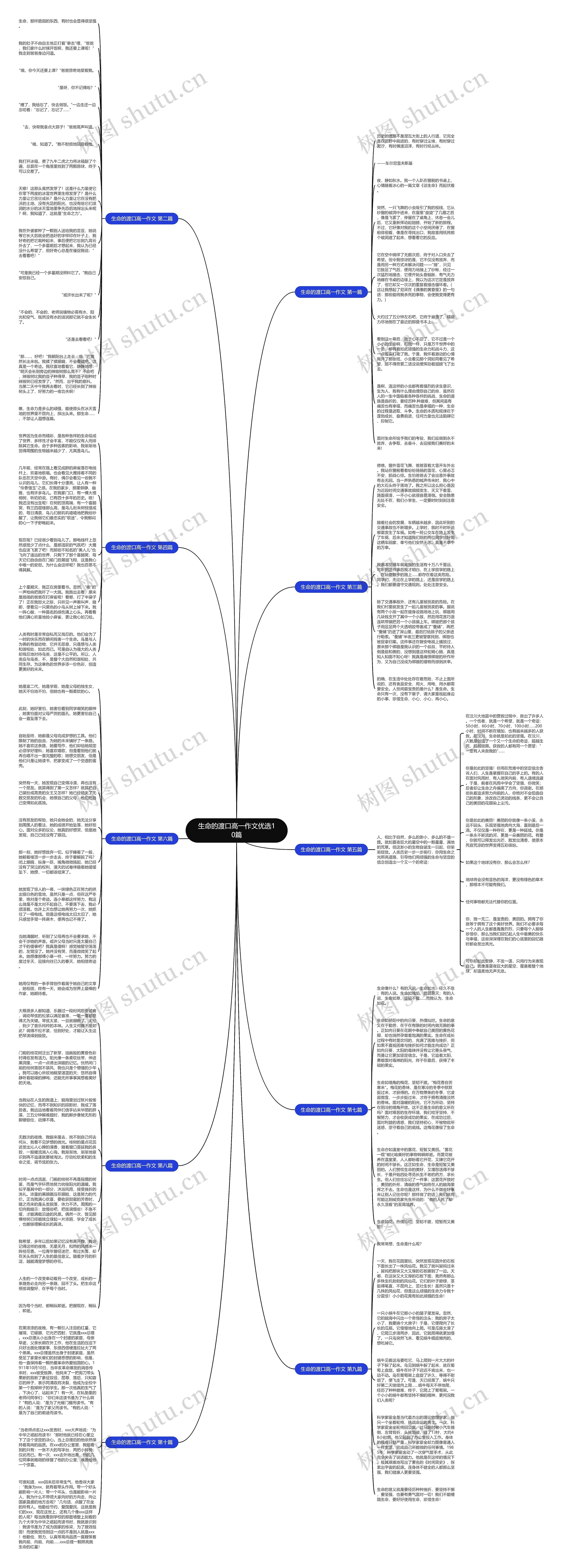 生命的渡口高一作文优选10篇思维导图