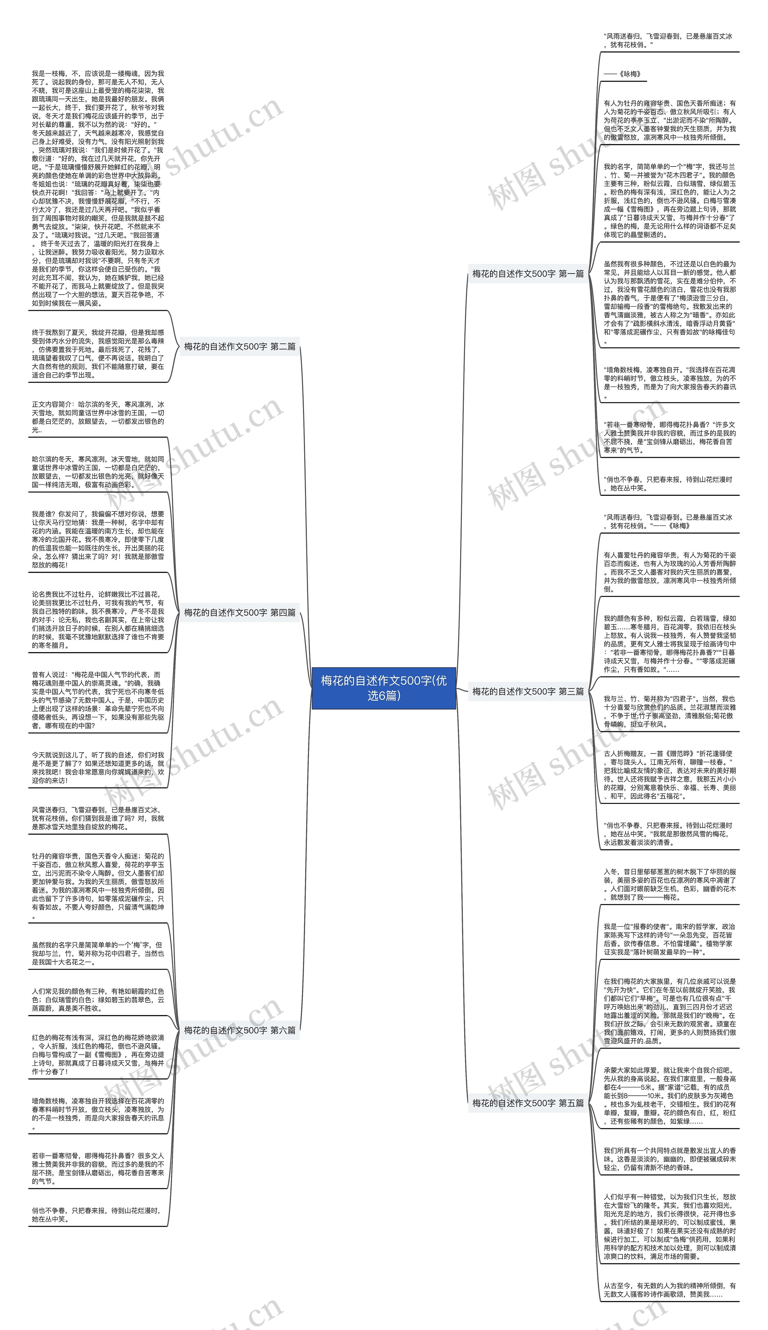 梅花的自述作文500字(优选6篇)思维导图