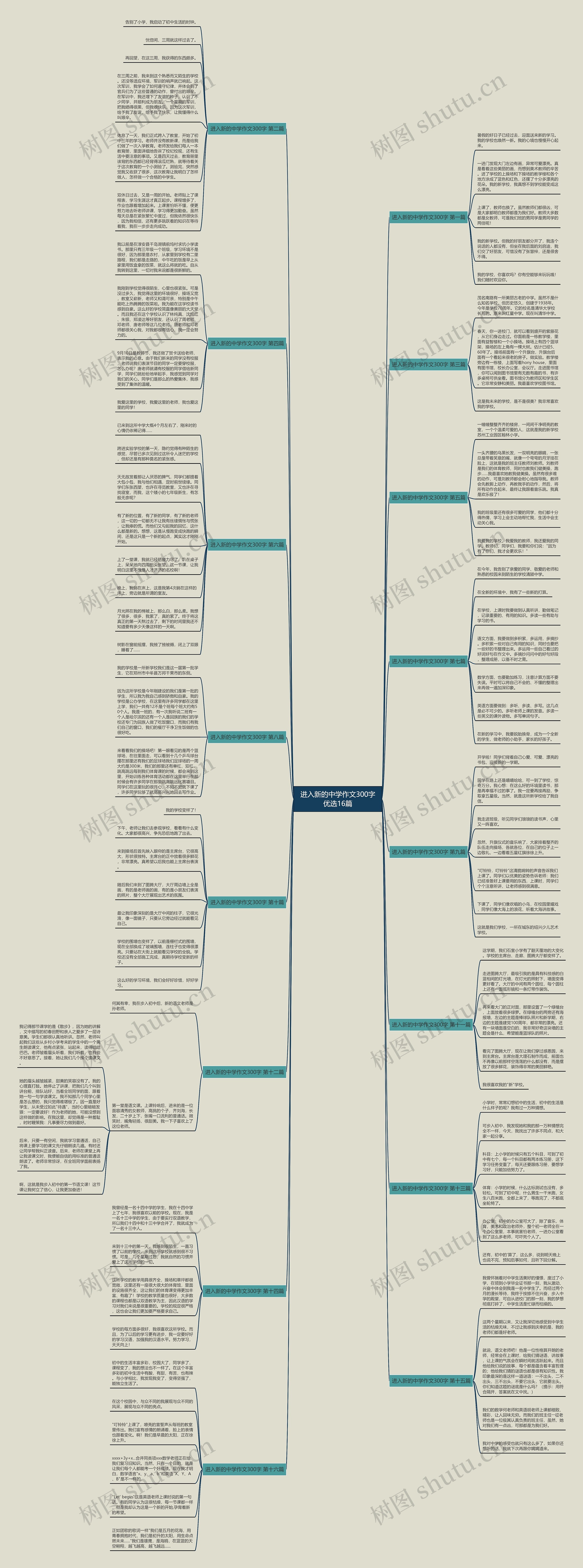 进入新的中学作文300字优选16篇思维导图
