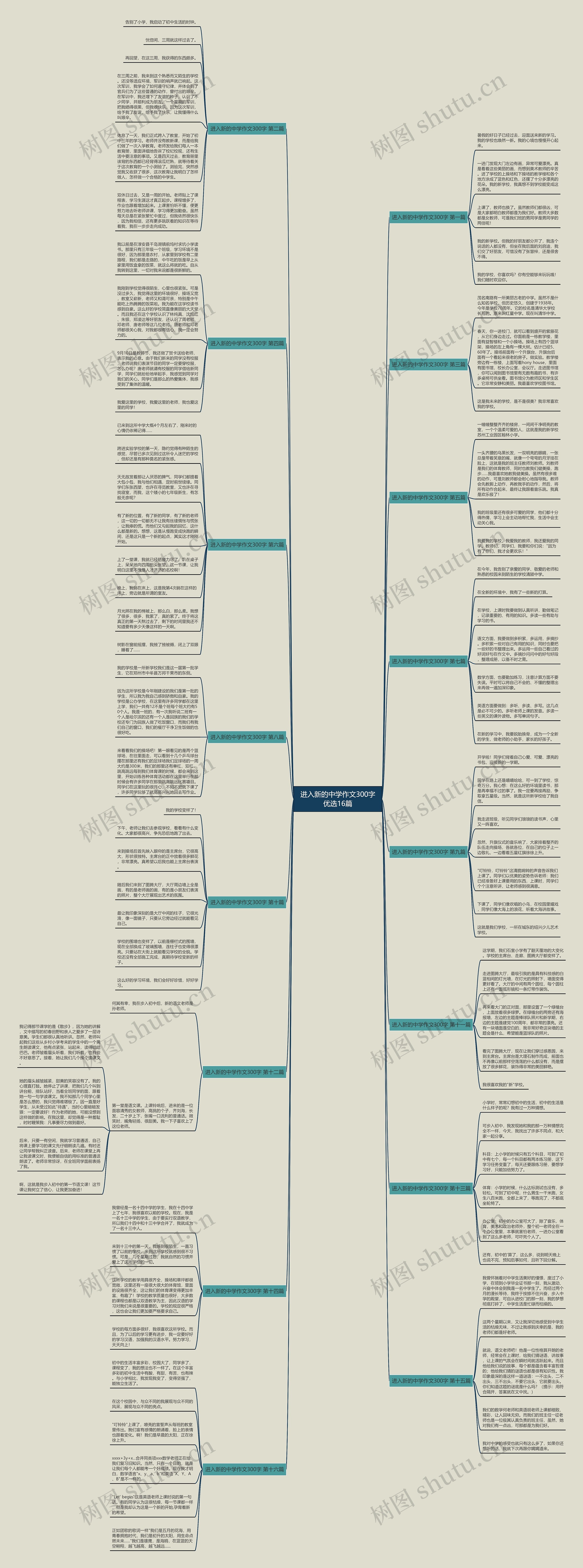 进入新的中学作文300字优选16篇 进入新的中学作文300字优选16篇