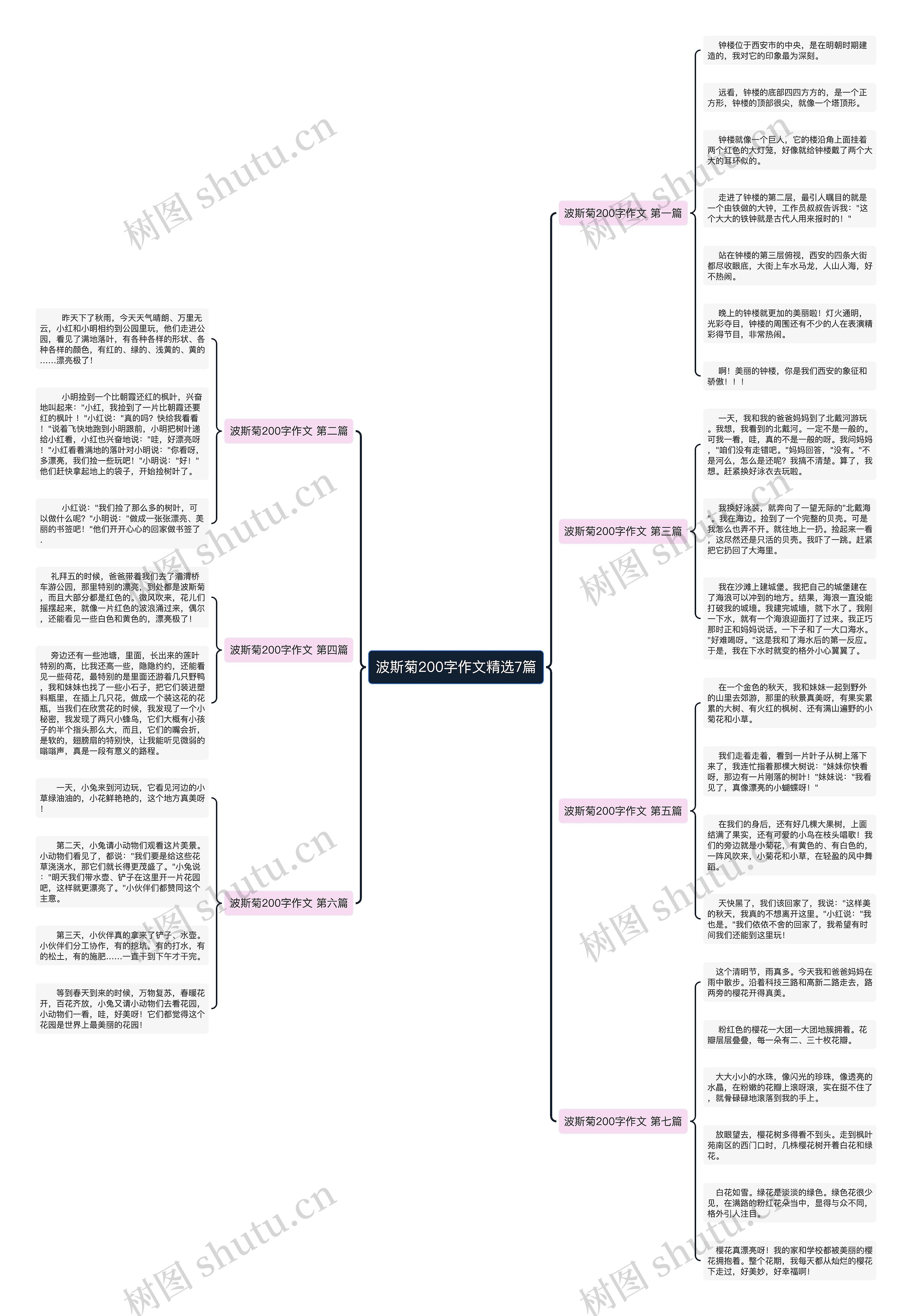 波斯菊200字作文精选7篇思维导图