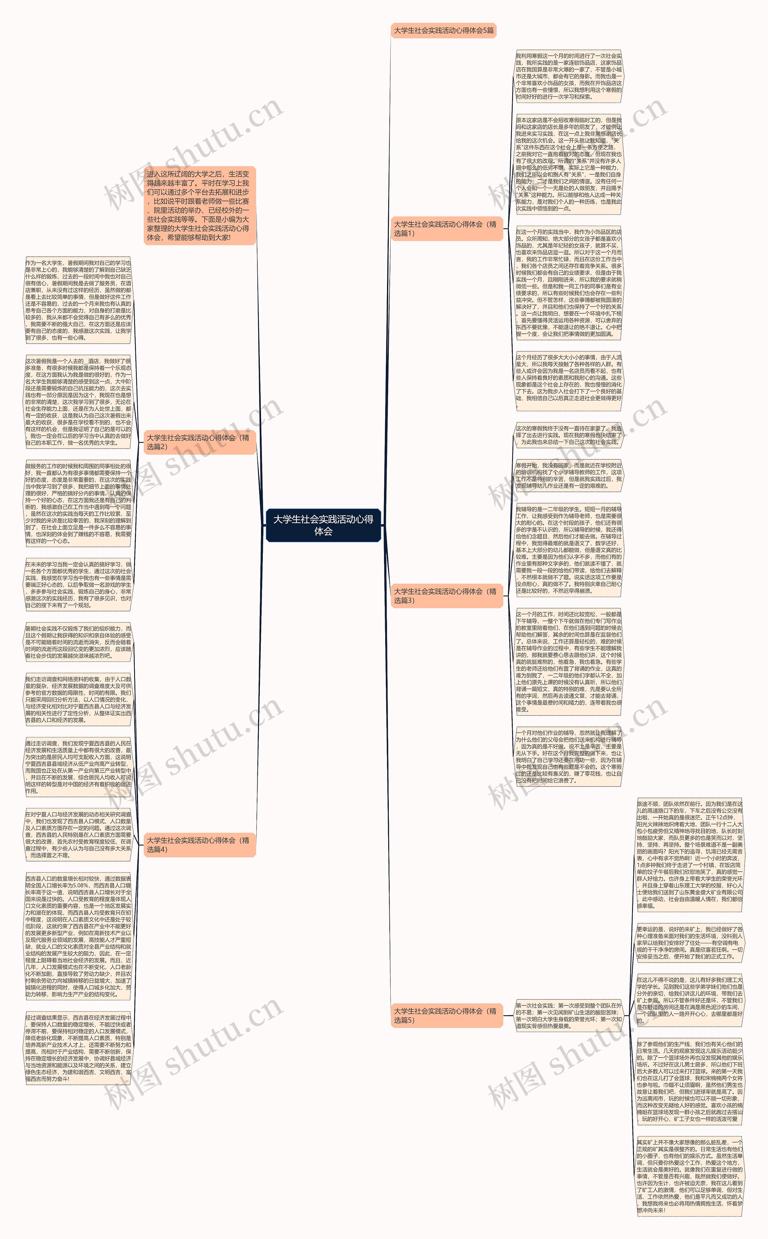 大学生社会实践活动心得体会思维导图