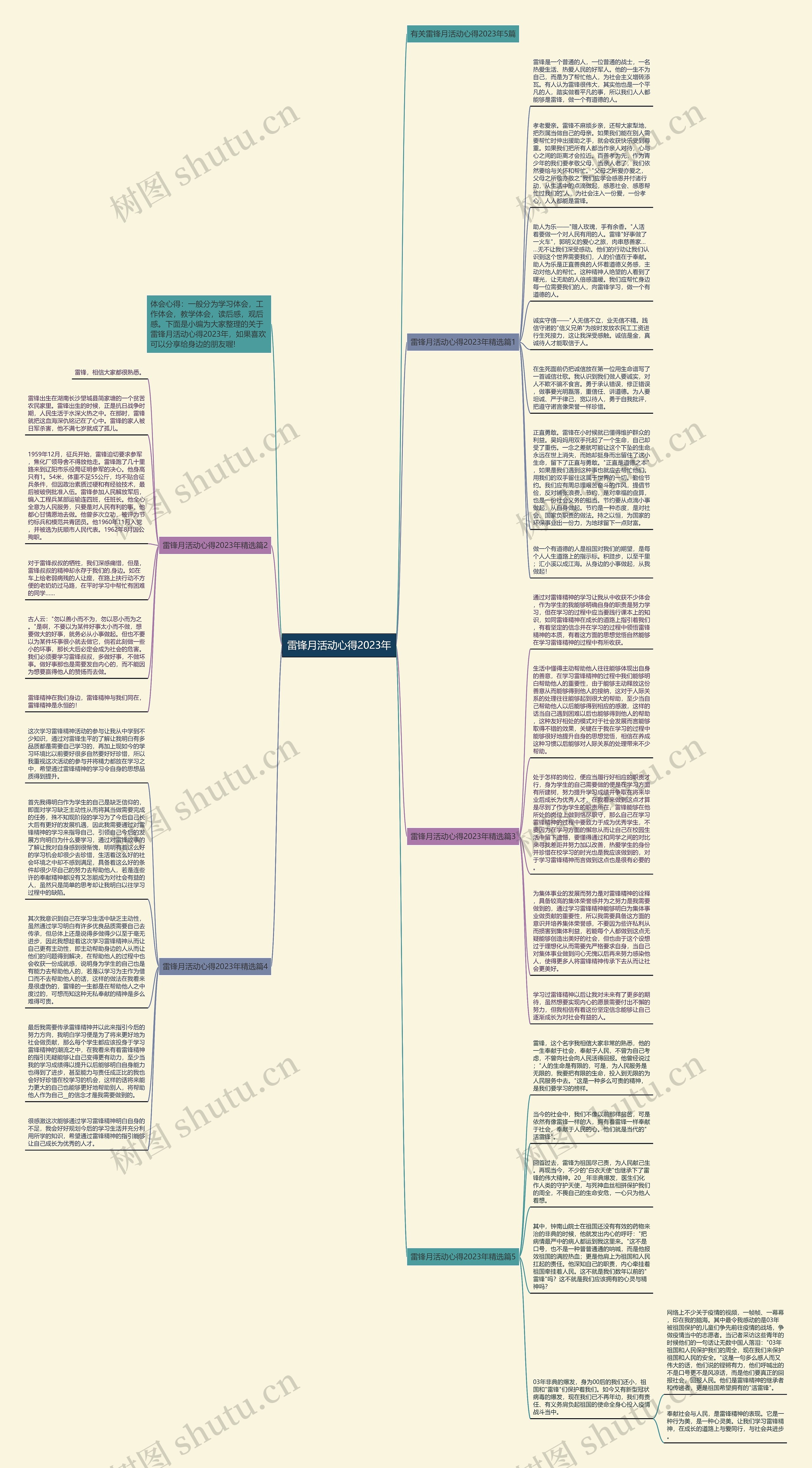 雷锋月活动心得2023年思维导图