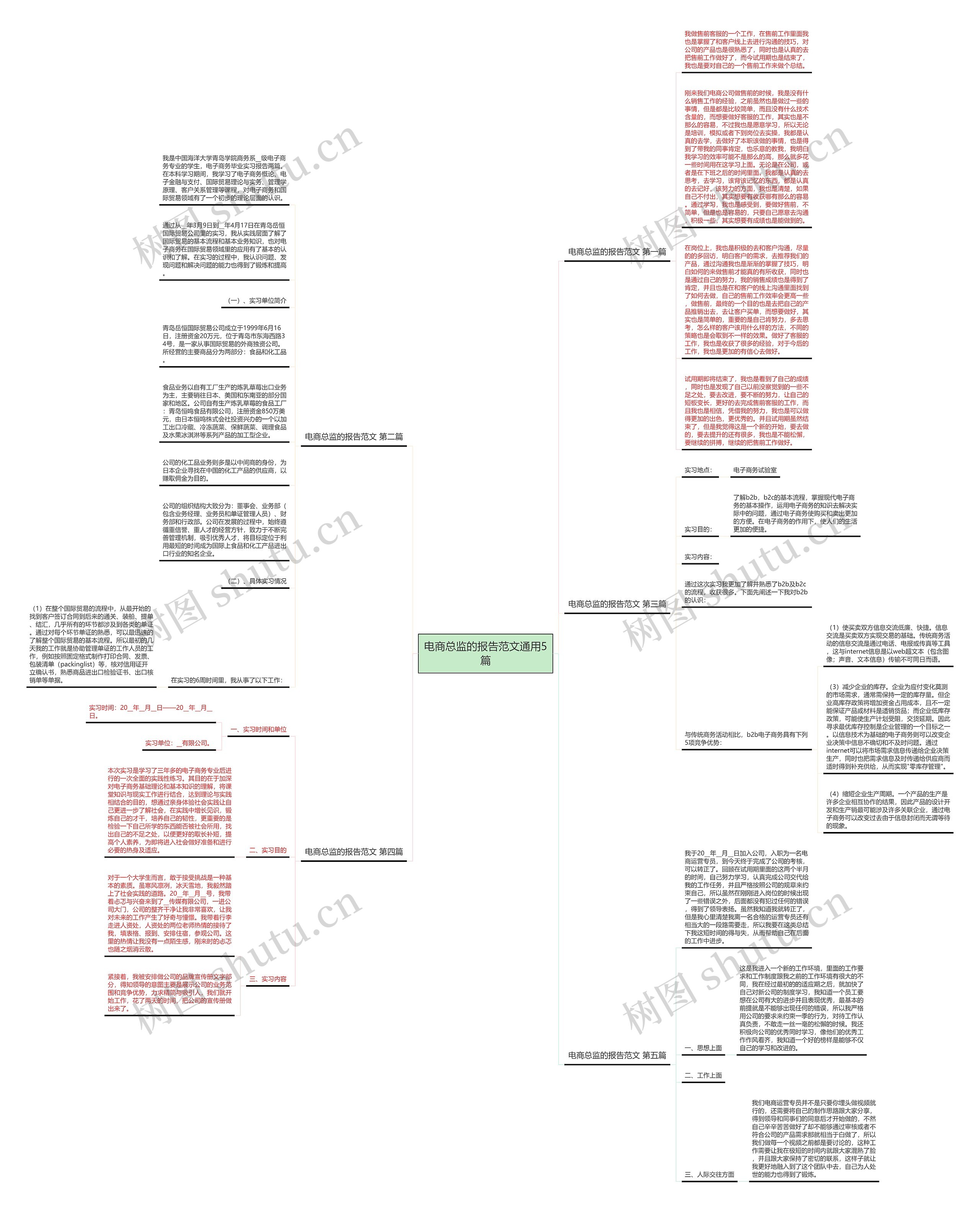 电商总监的报告范文通用5篇思维导图