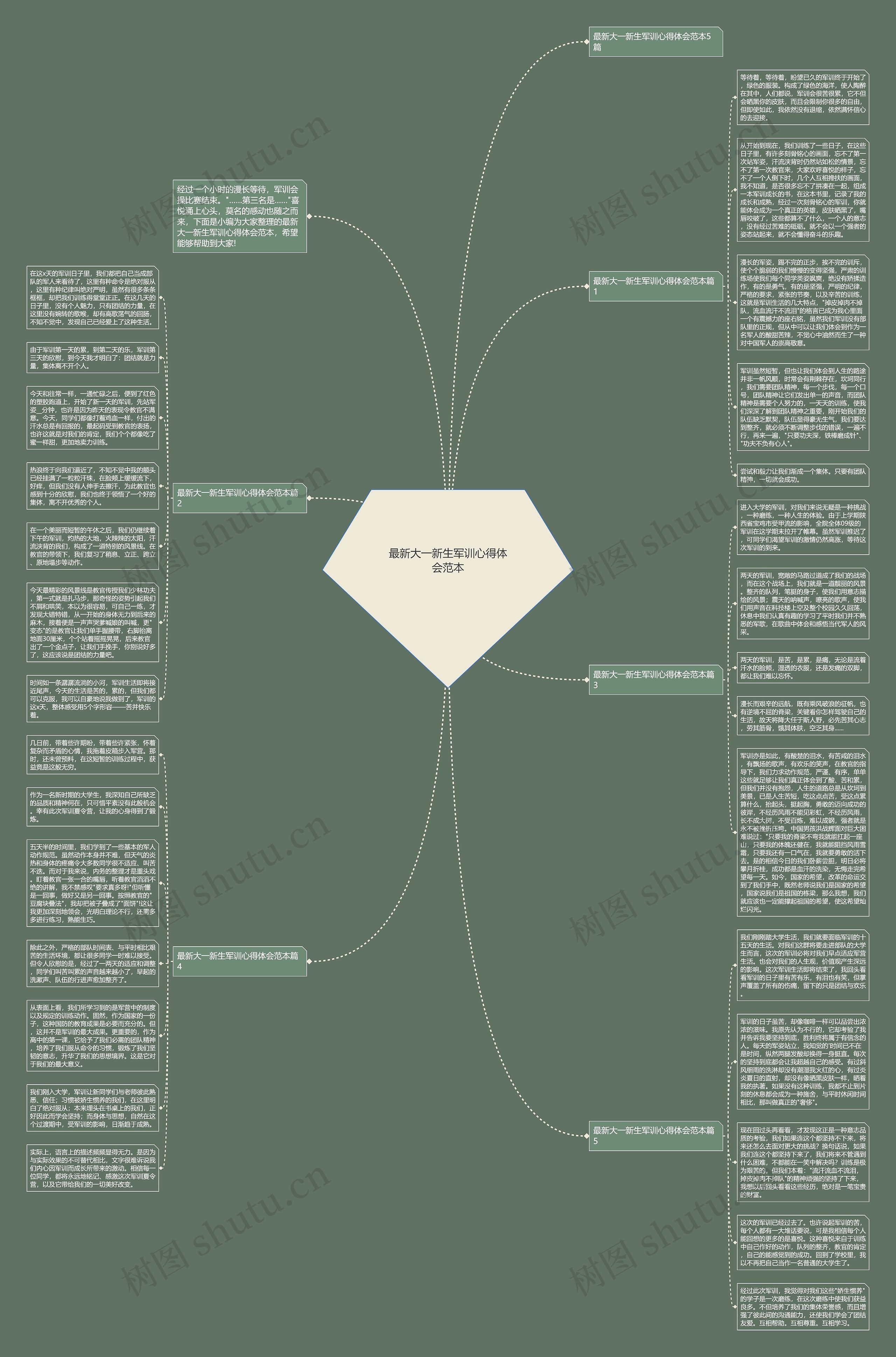最新大一新生军训心得体会范本思维导图