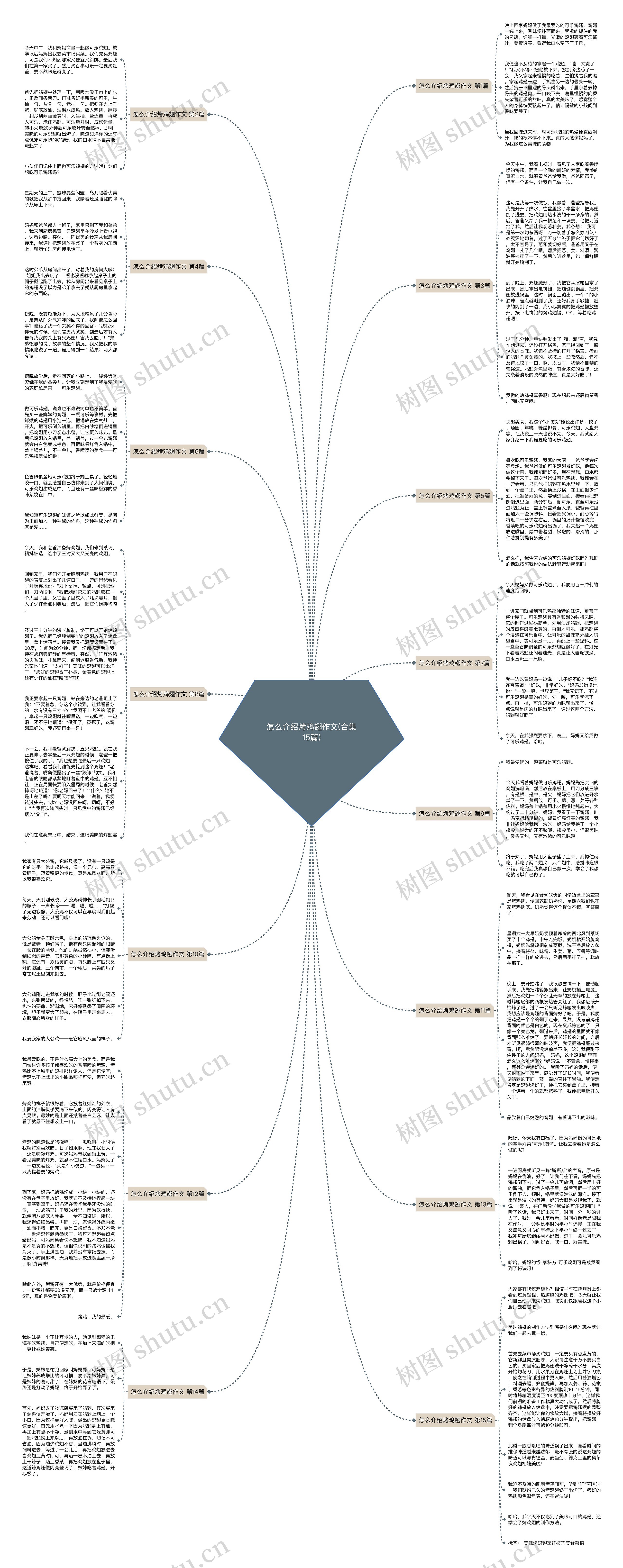 怎么介绍烤鸡翅作文(合集15篇)思维导图