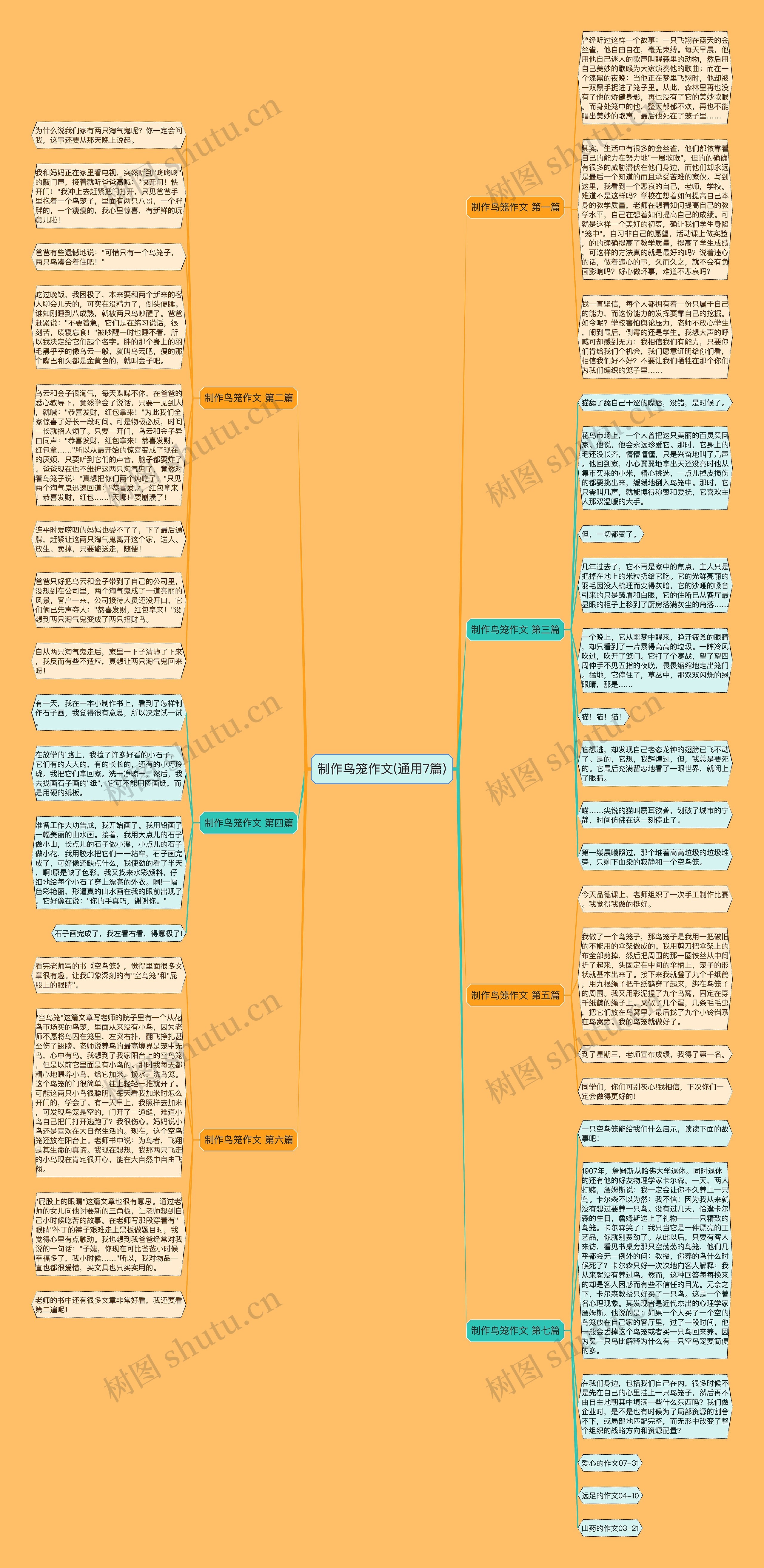 制作鸟笼作文(通用7篇)思维导图