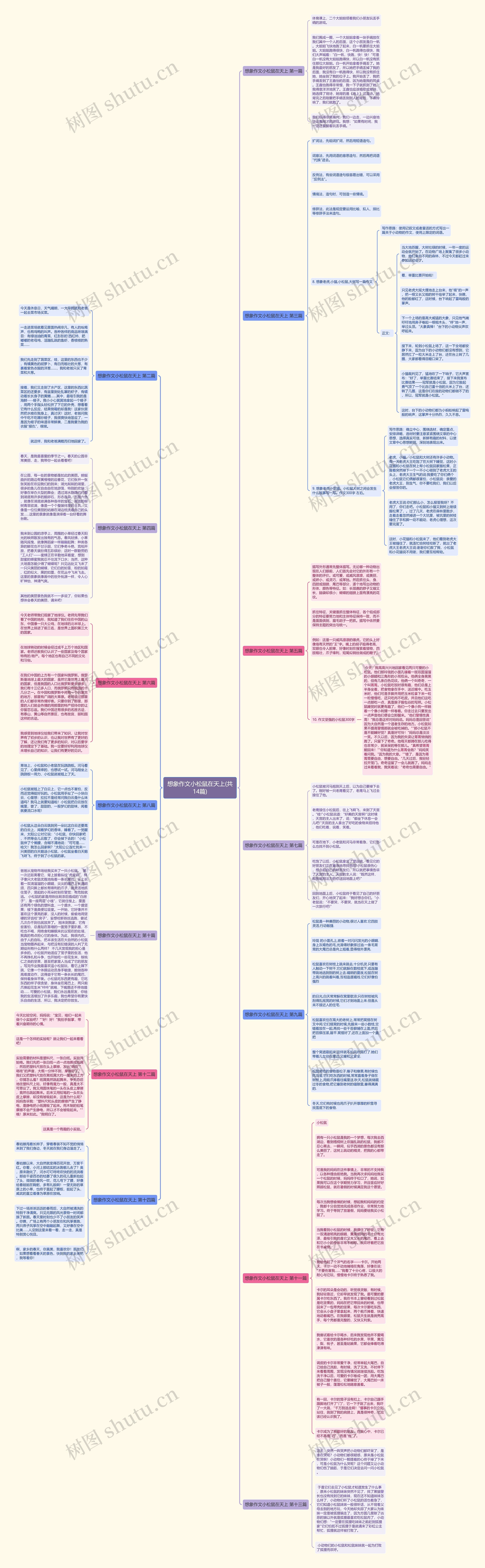 想象作文小松鼠在天上(共14篇)思维导图