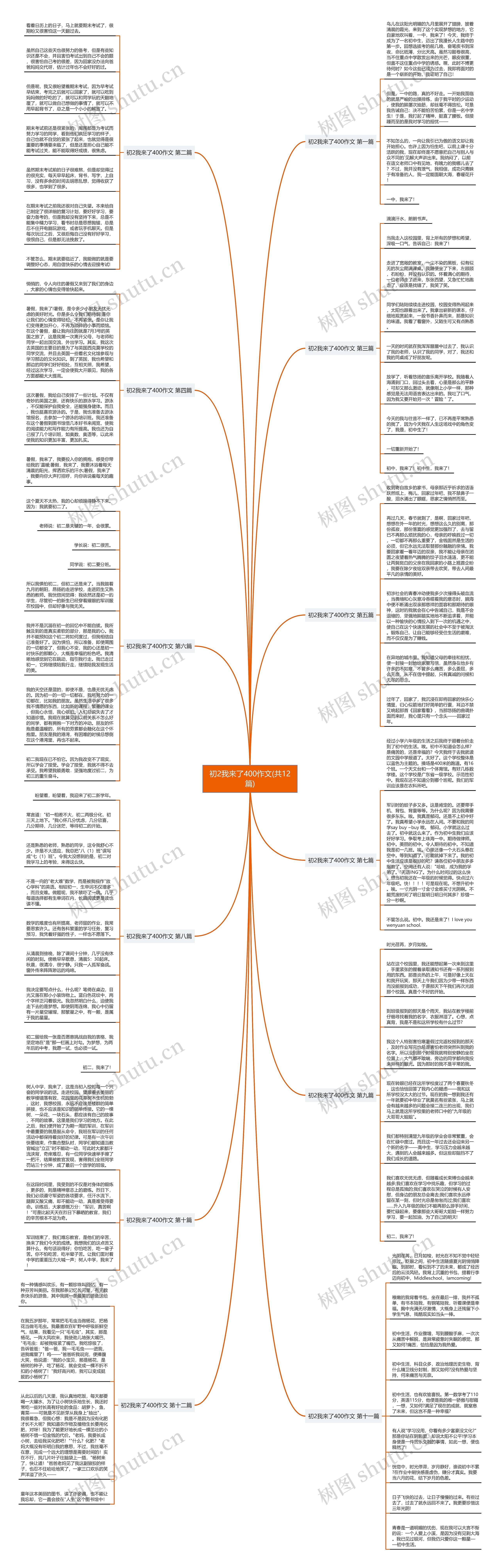 初2我来了400作文(共12篇)思维导图