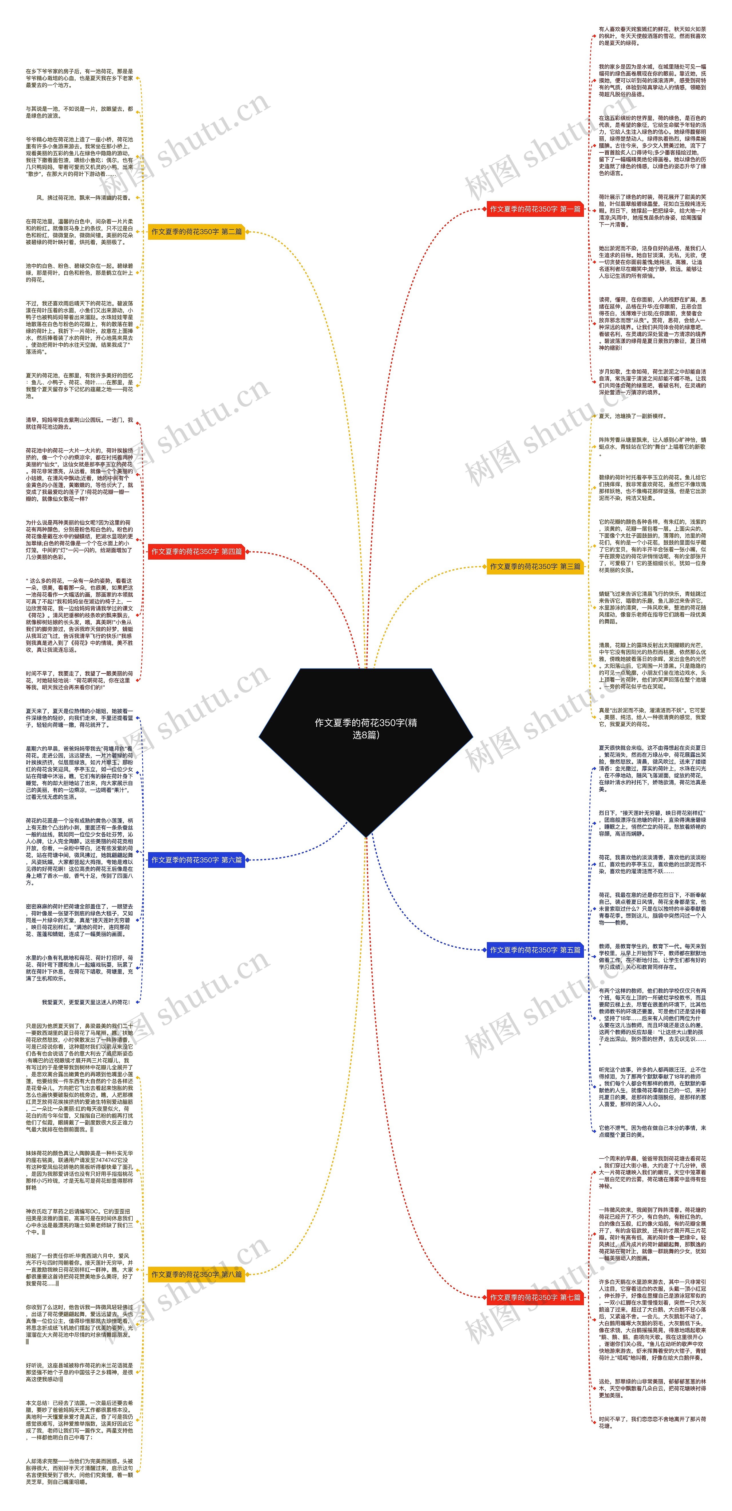 作文夏季的荷花350字(精选8篇)思维导图