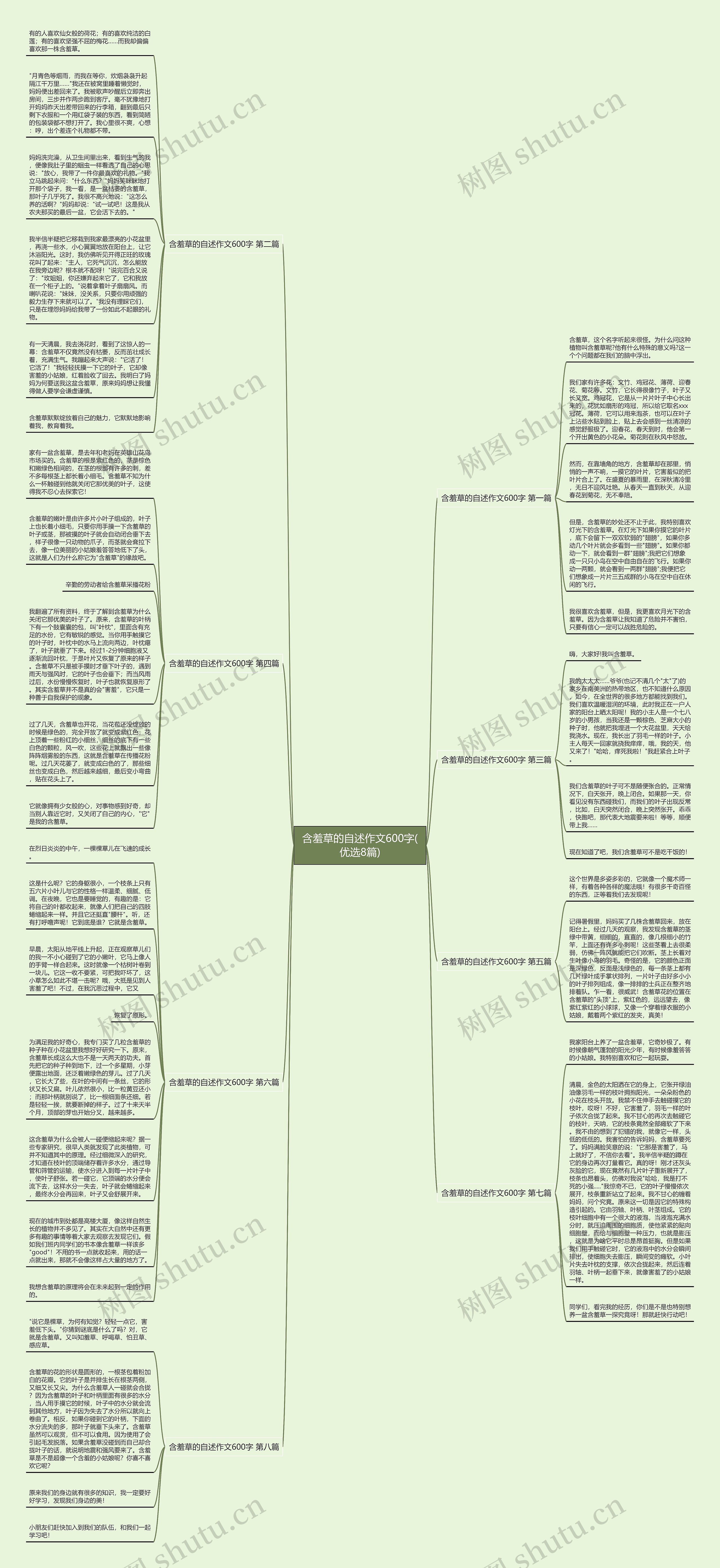 含羞草的自述作文600字(优选8篇)思维导图