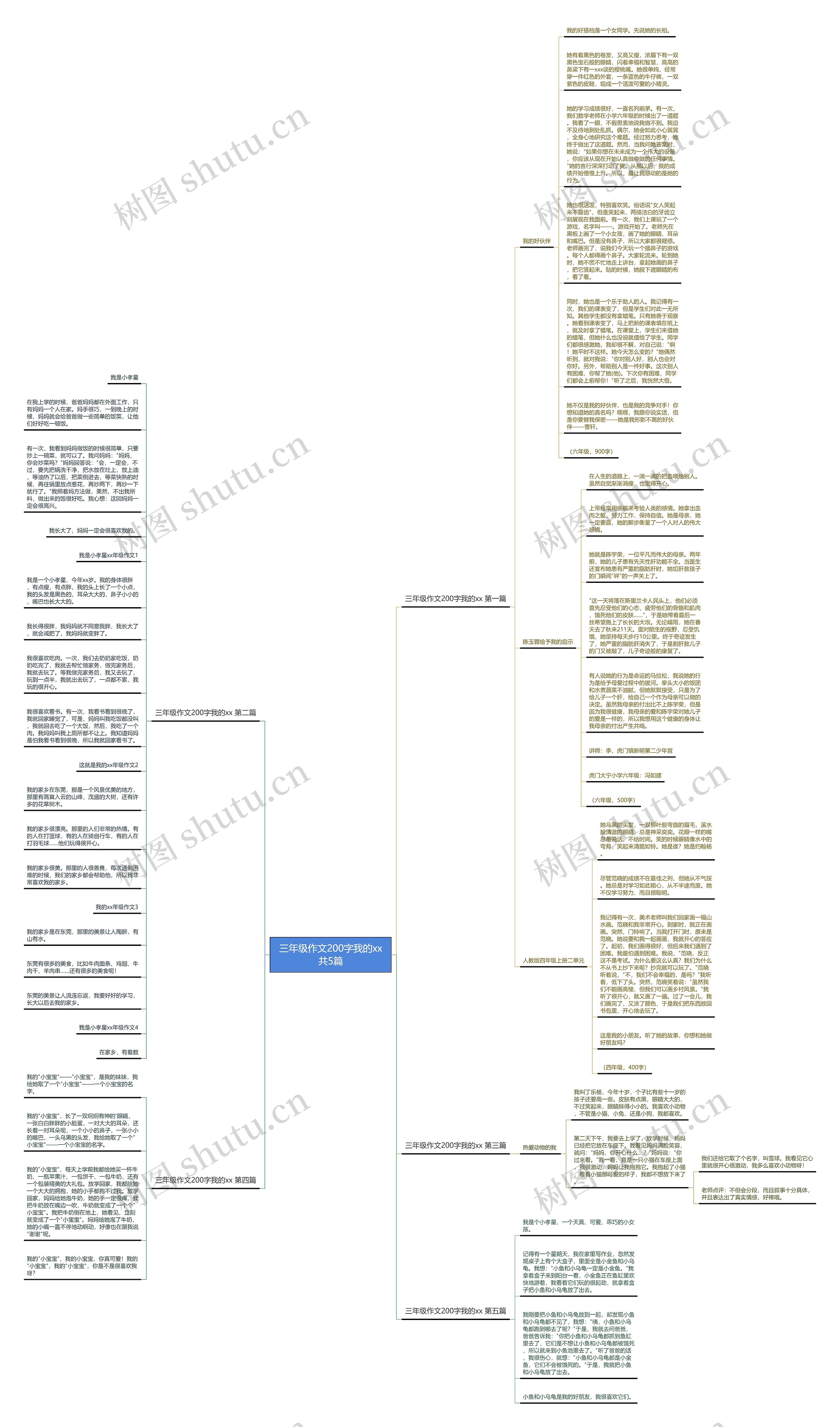 三年级作文200字我的xx共5篇思维导图