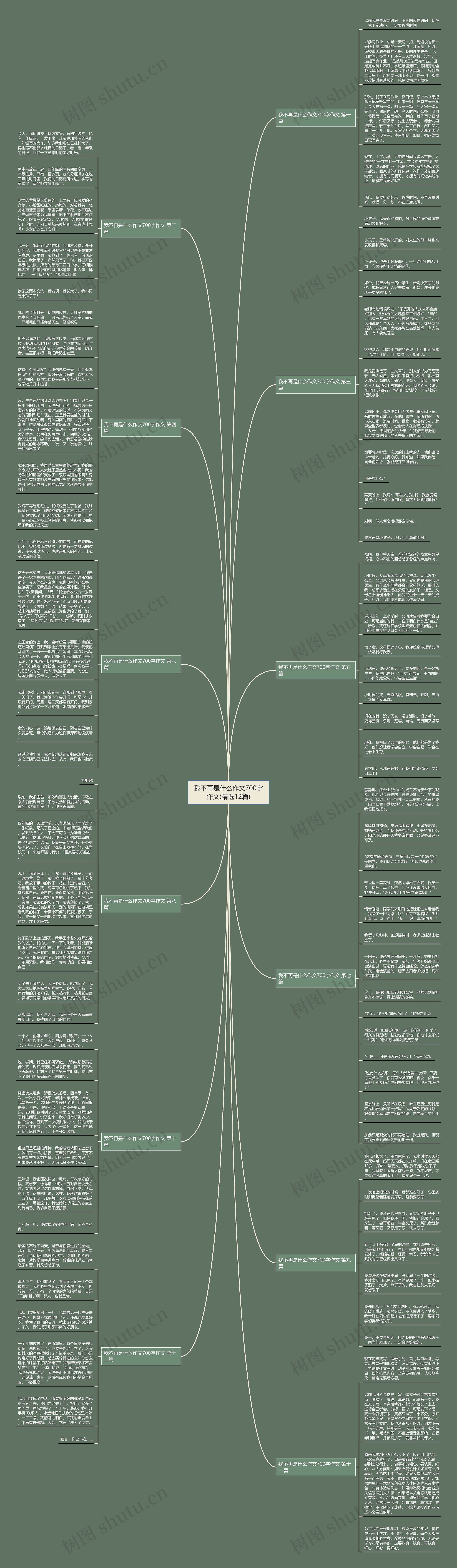我不再是什么作文700字作文(精选12篇)思维导图