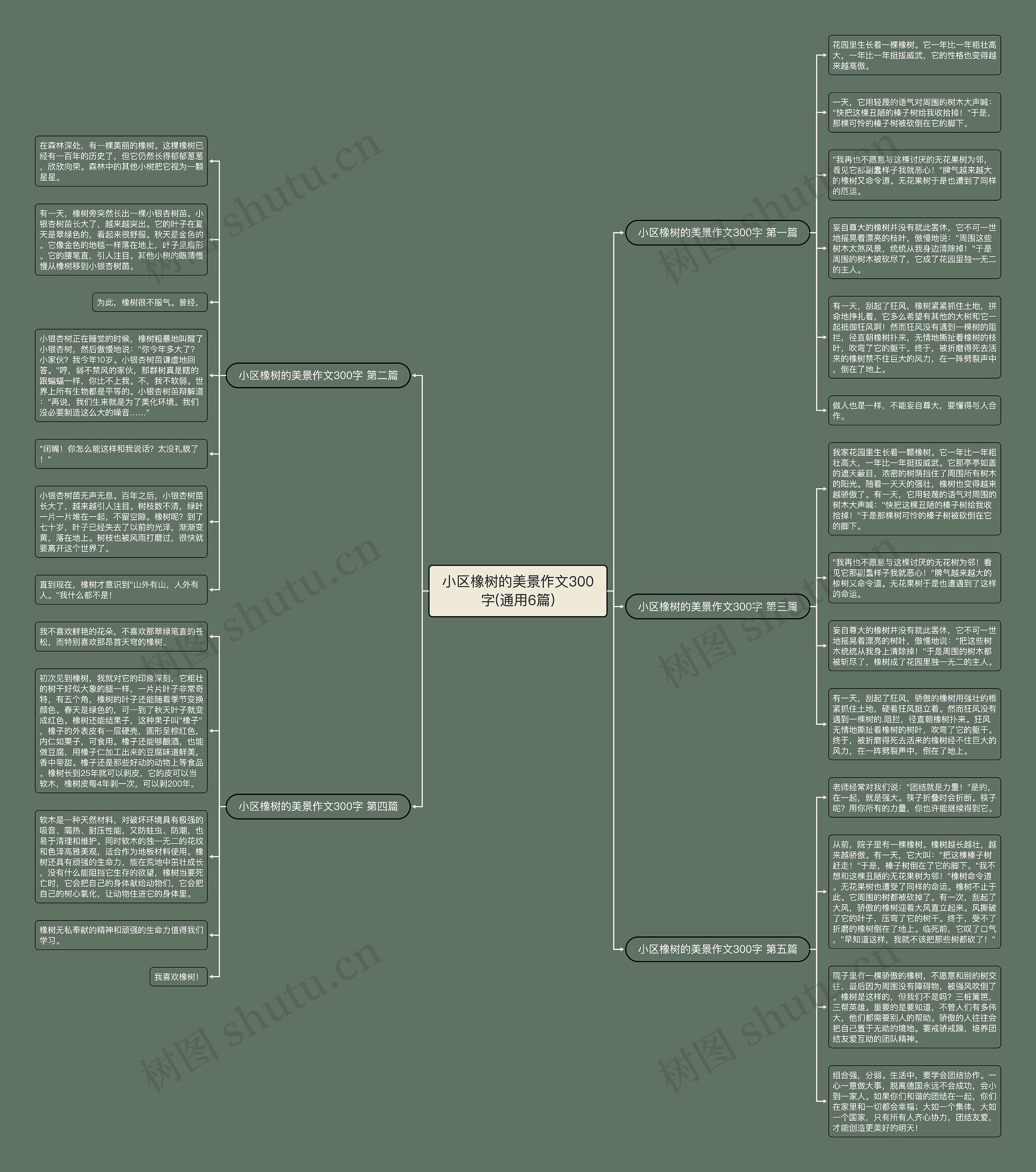 小区橡树的美景作文300字(通用6篇)思维导图