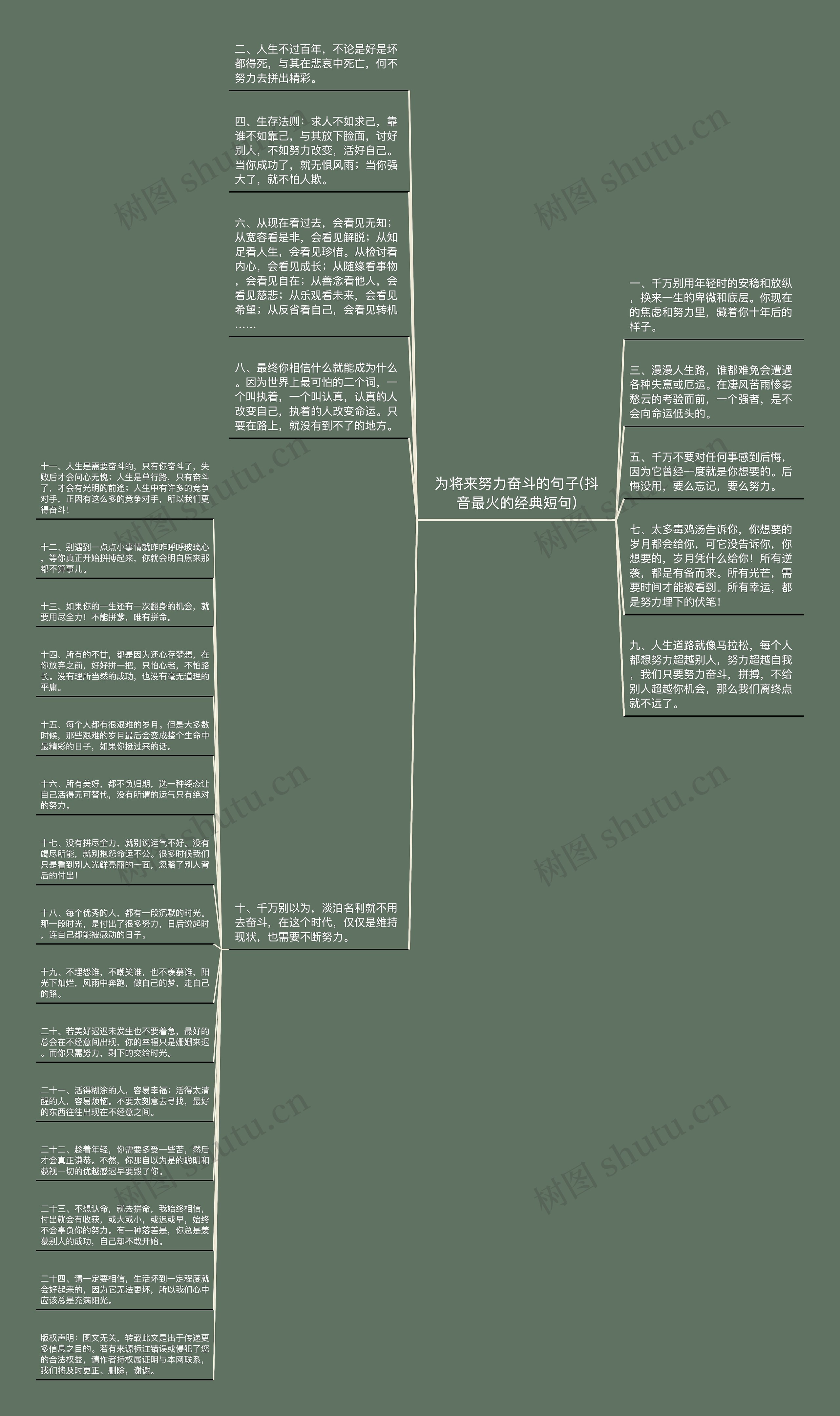 为将来努力奋斗的句子(抖音最火的经典短句)思维导图