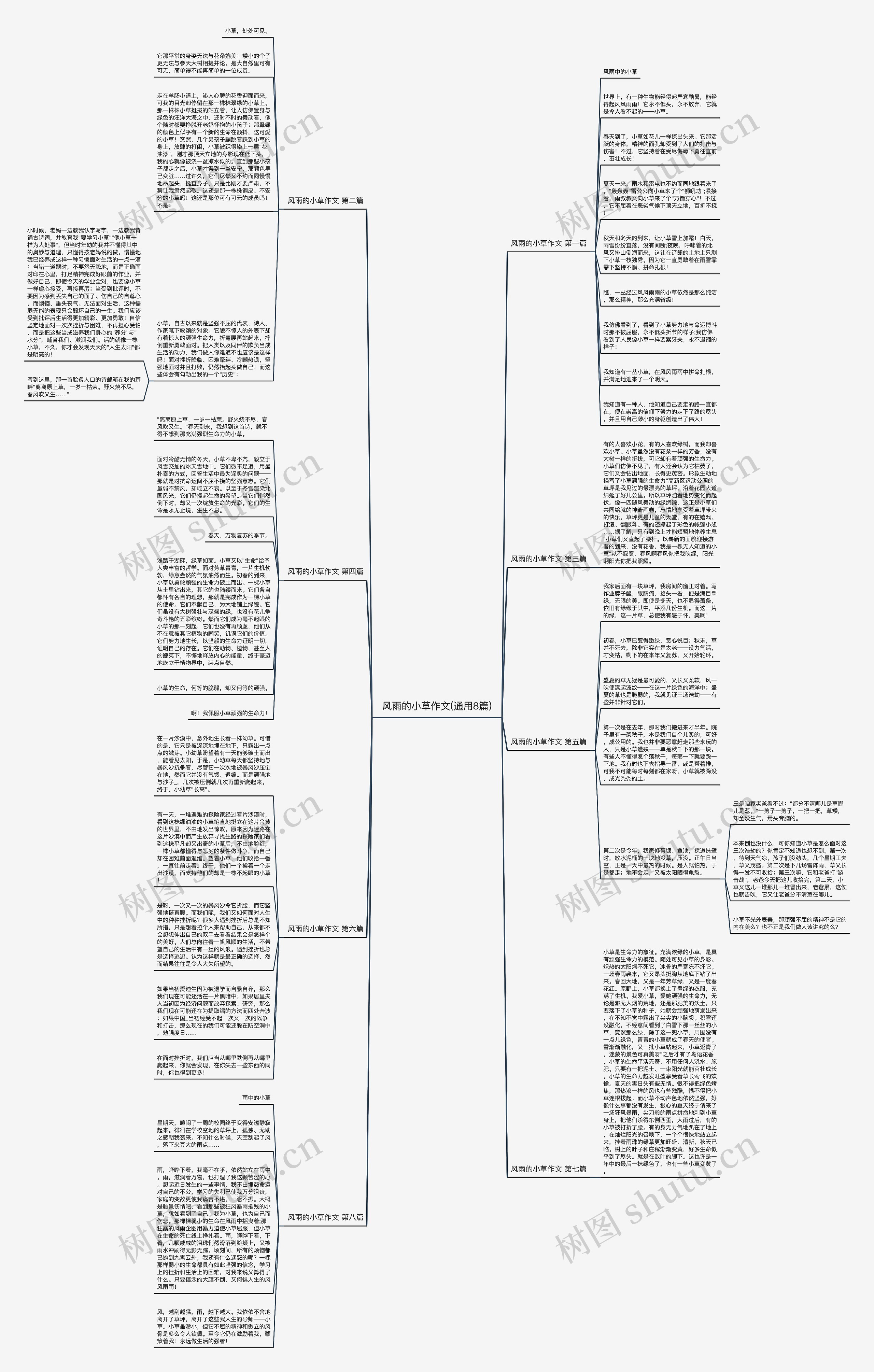 风雨的小草作文(通用8篇)思维导图