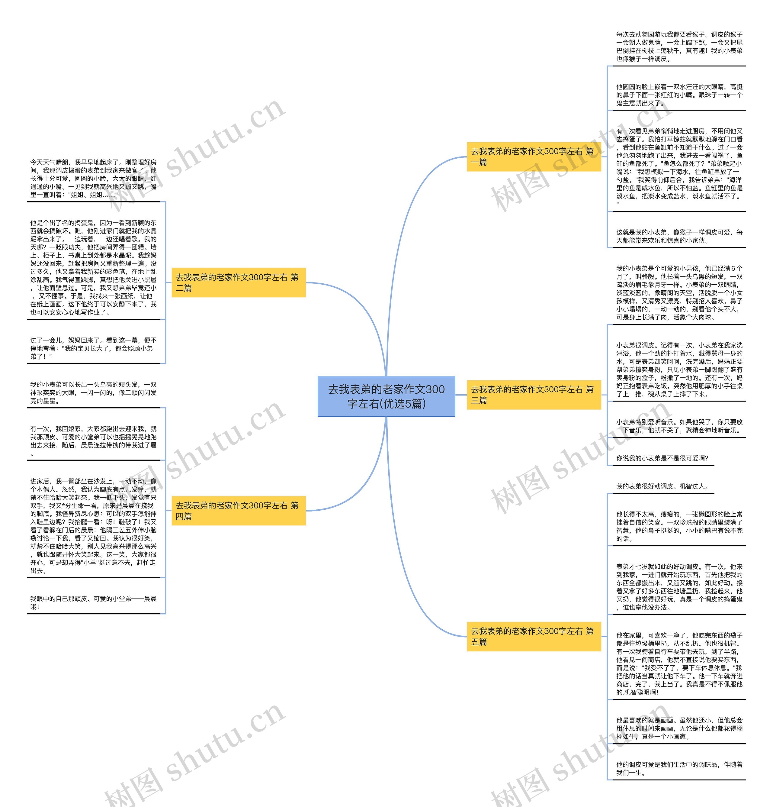 去我表弟的老家作文300字左右(优选5篇)思维导图
