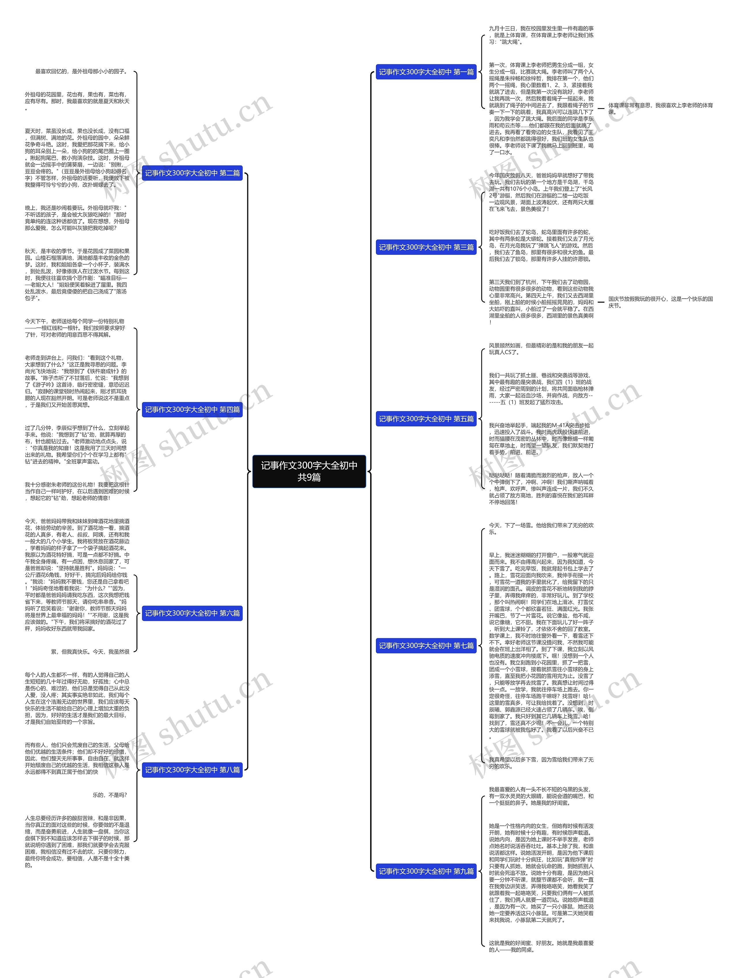 记事作文300字大全初中共9篇思维导图
