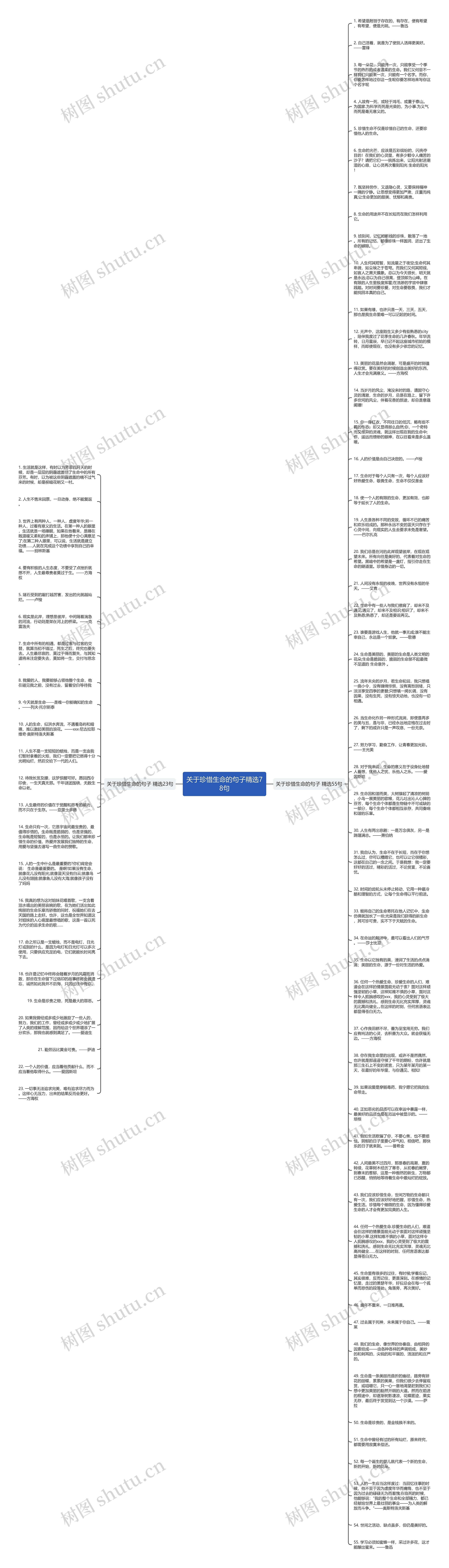 关于珍惜生命的句子精选78句思维导图