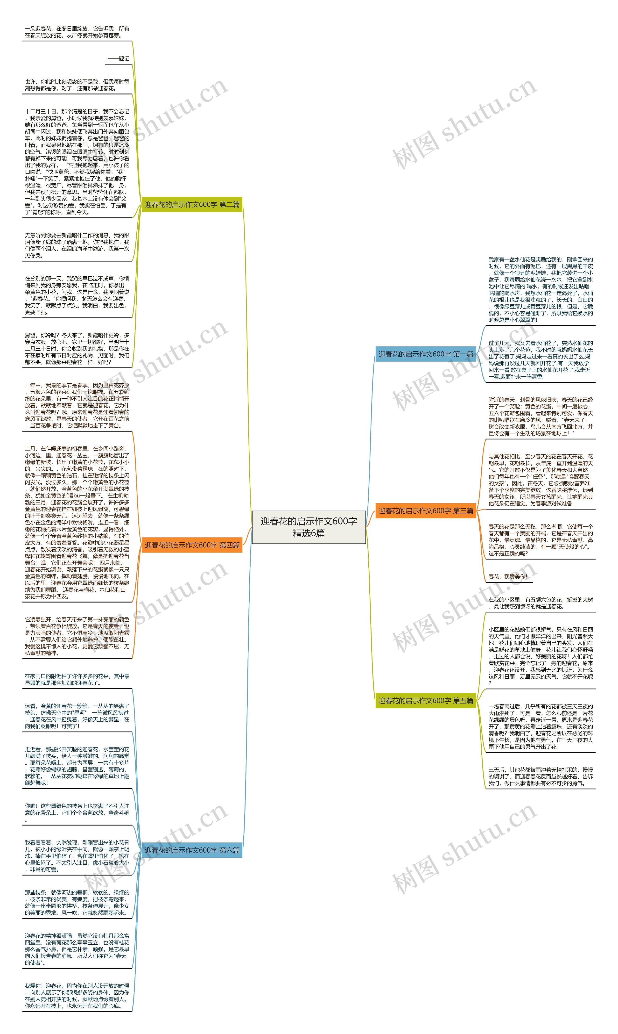 迎春花的启示作文600字精选6篇 迎春花的启示作文600字精选6篇
