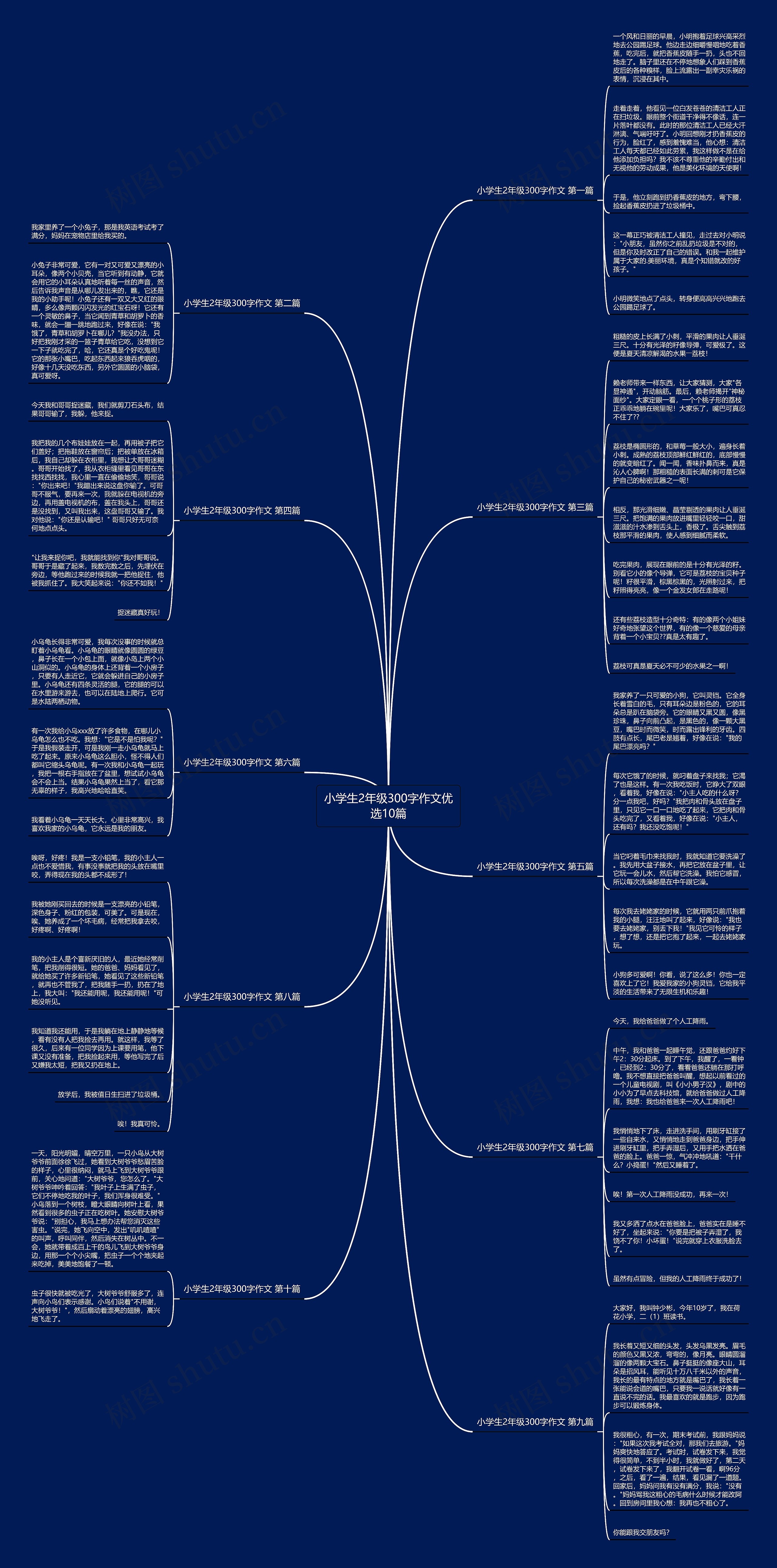 小学生2年级300字作文优选10篇思维导图
