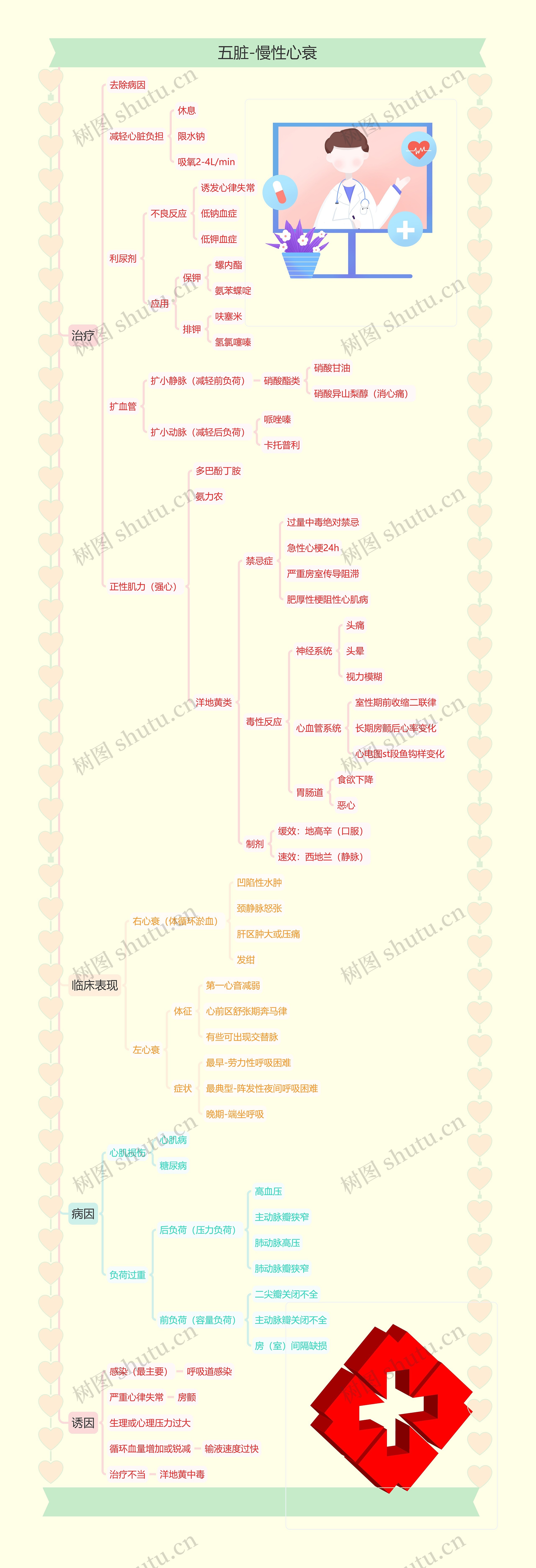 五脏-慢性心衰思维导图