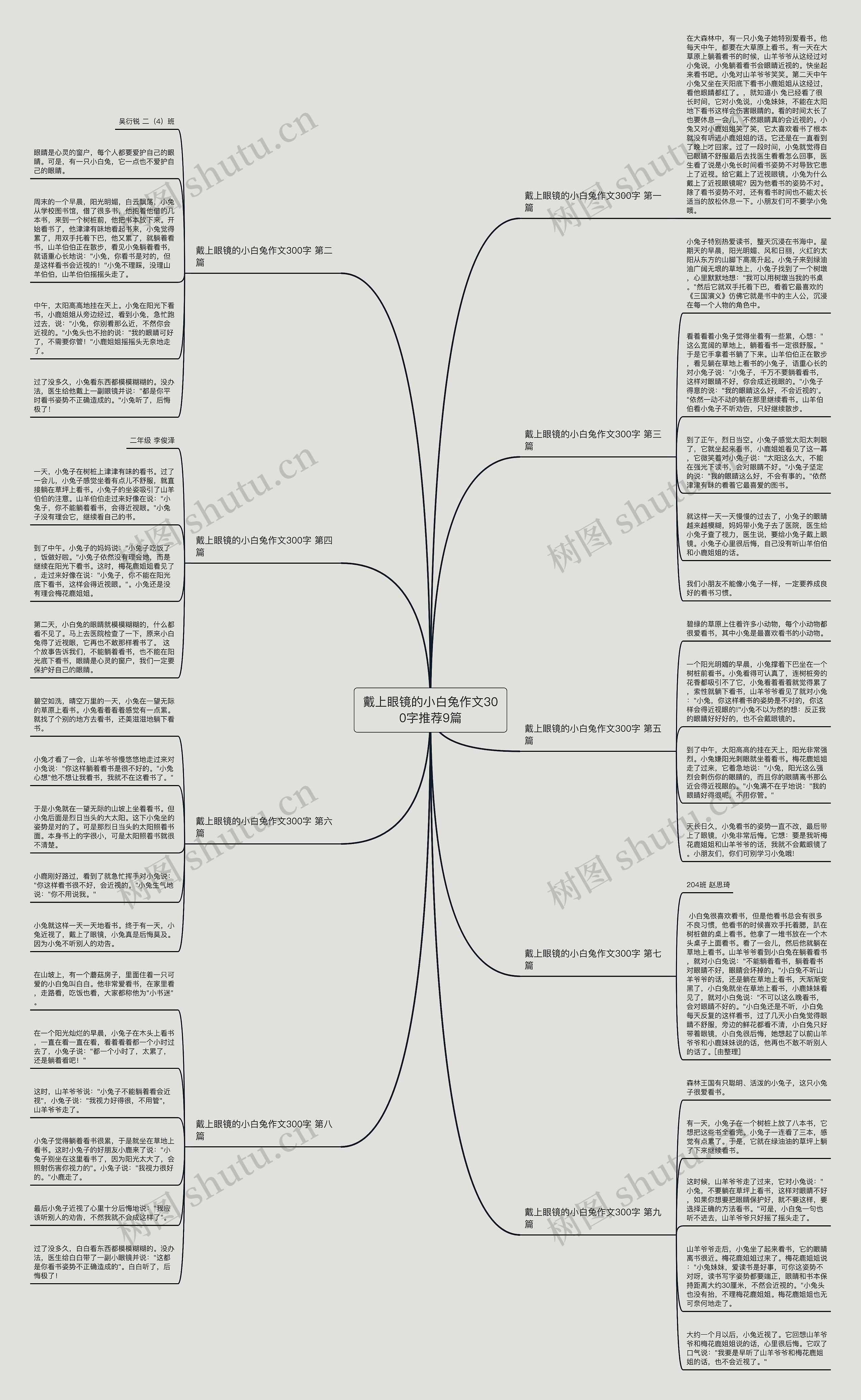 戴上眼镜的小白兔作文300字推荐9篇思维导图