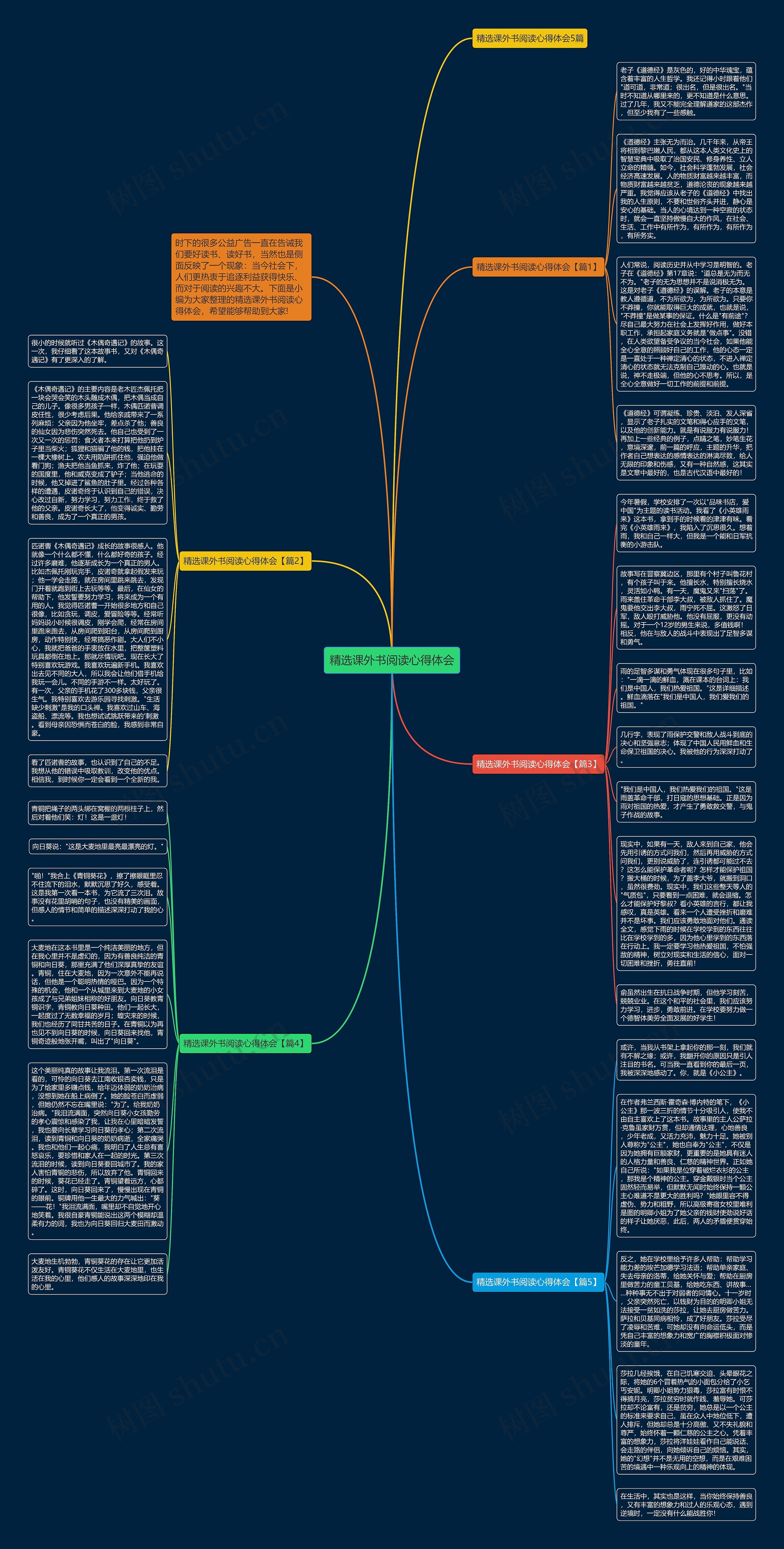 精选课外书阅读心得体会思维导图