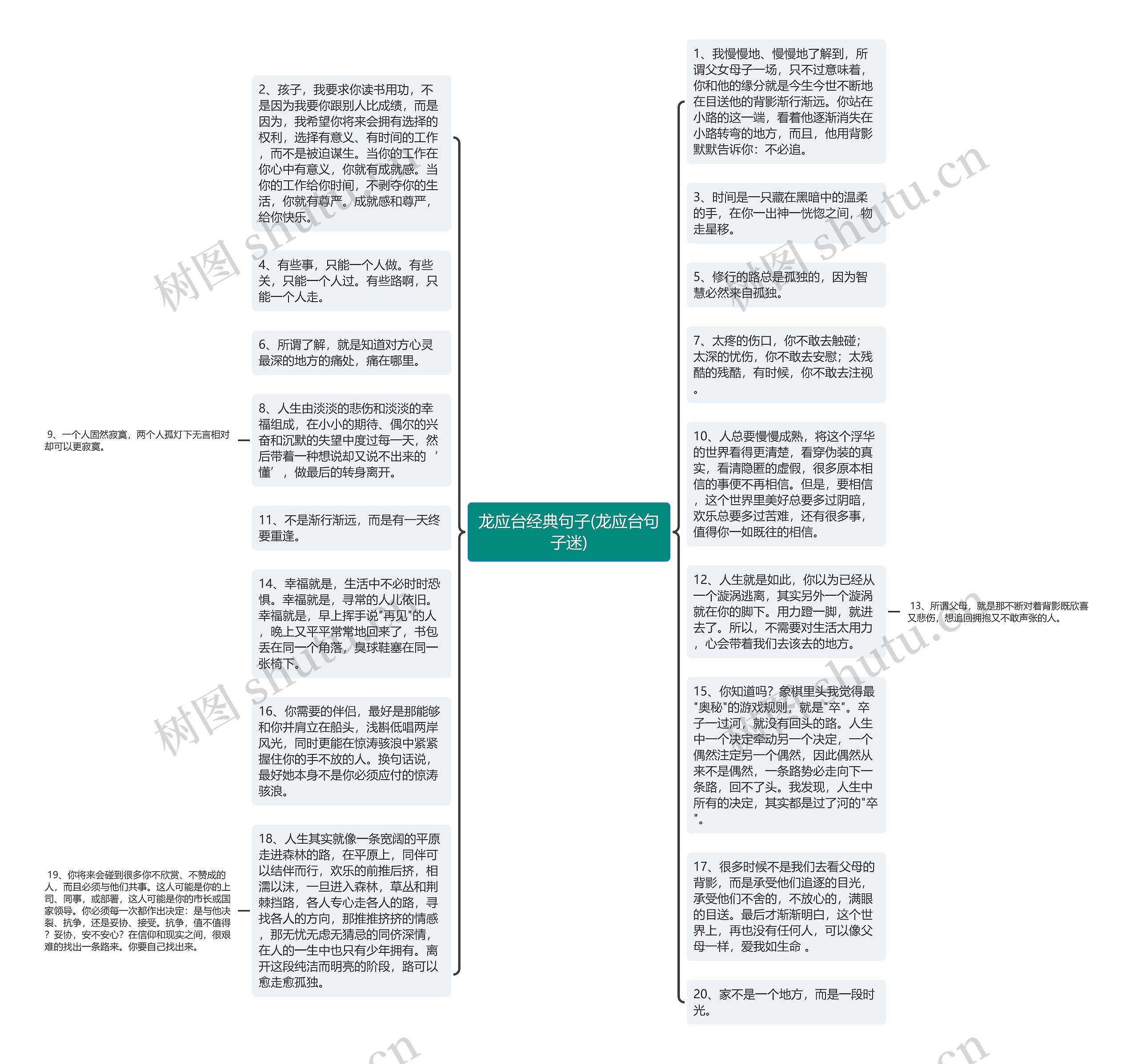 龙应台经典句子(龙应台句子迷)思维导图