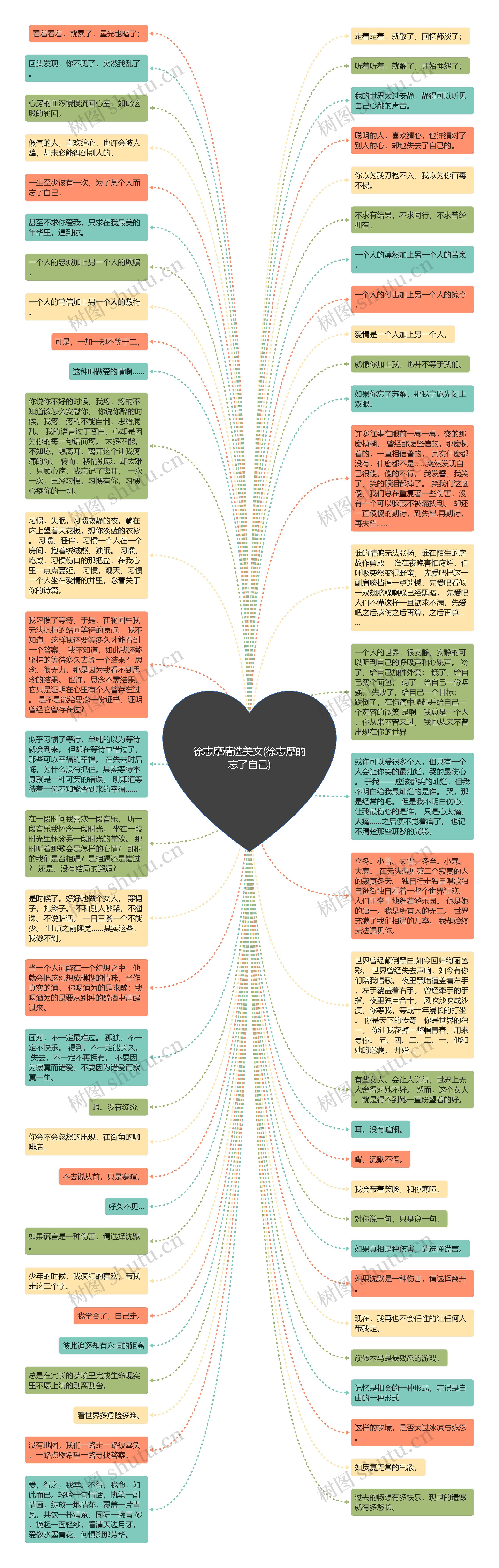 徐志摩精选美文(徐志摩的忘了自己)思维导图