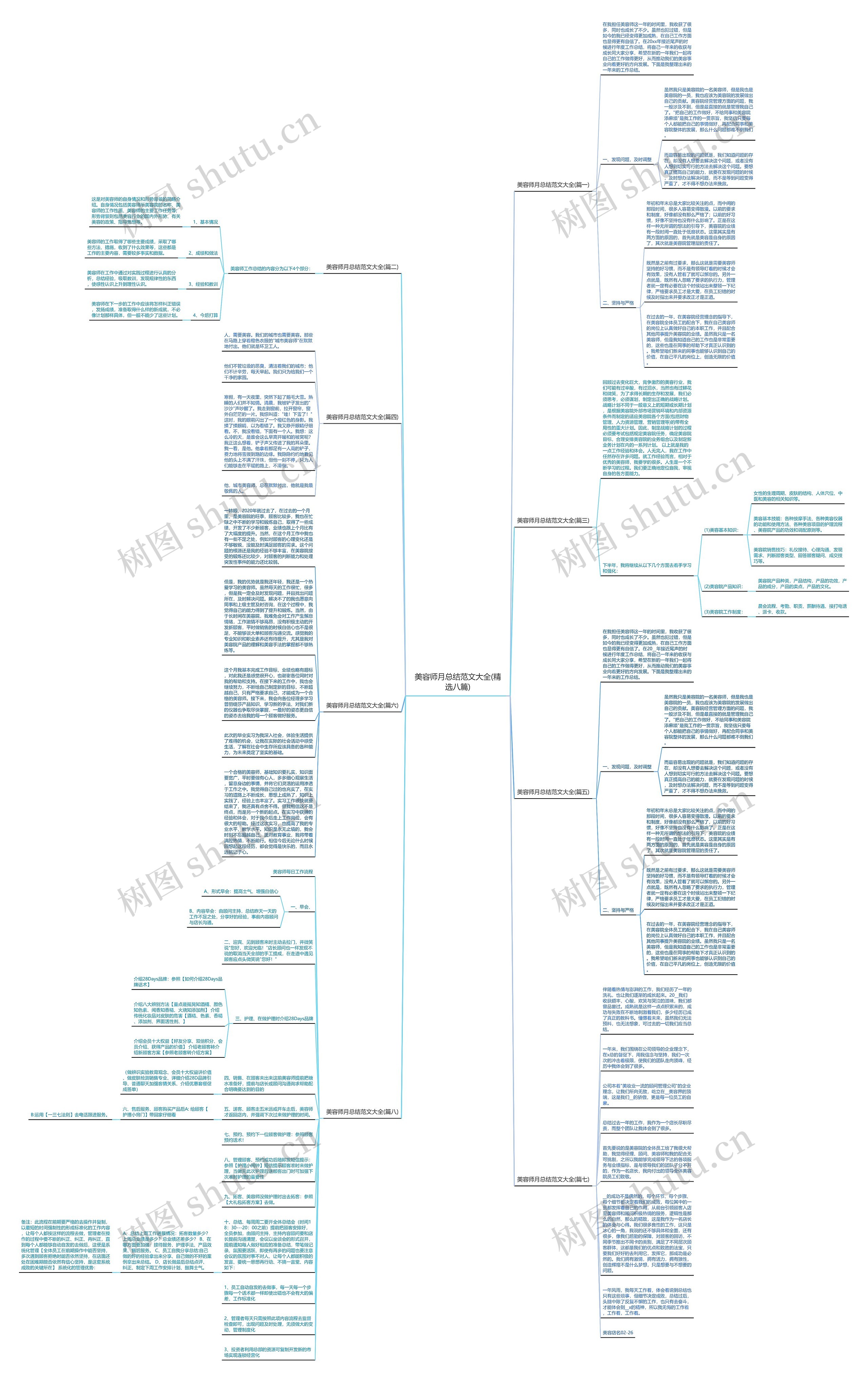 美容师月总结范文大全(精选八篇)思维导图
